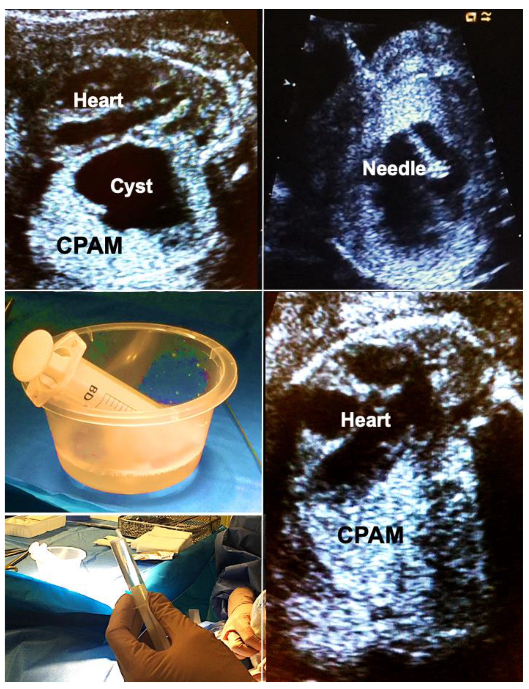 Children 10 00067 g005