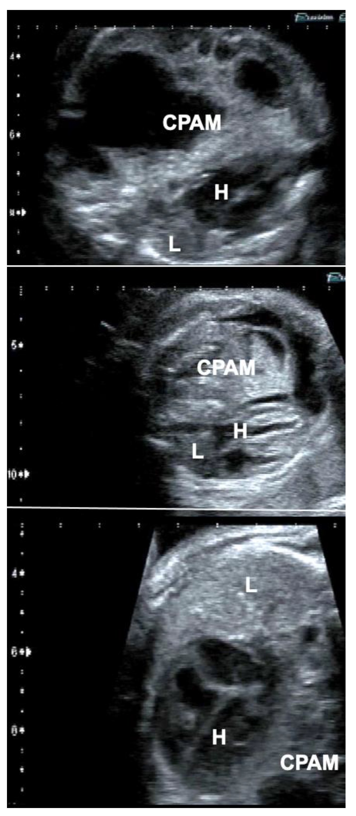 Children 10 00067 g006