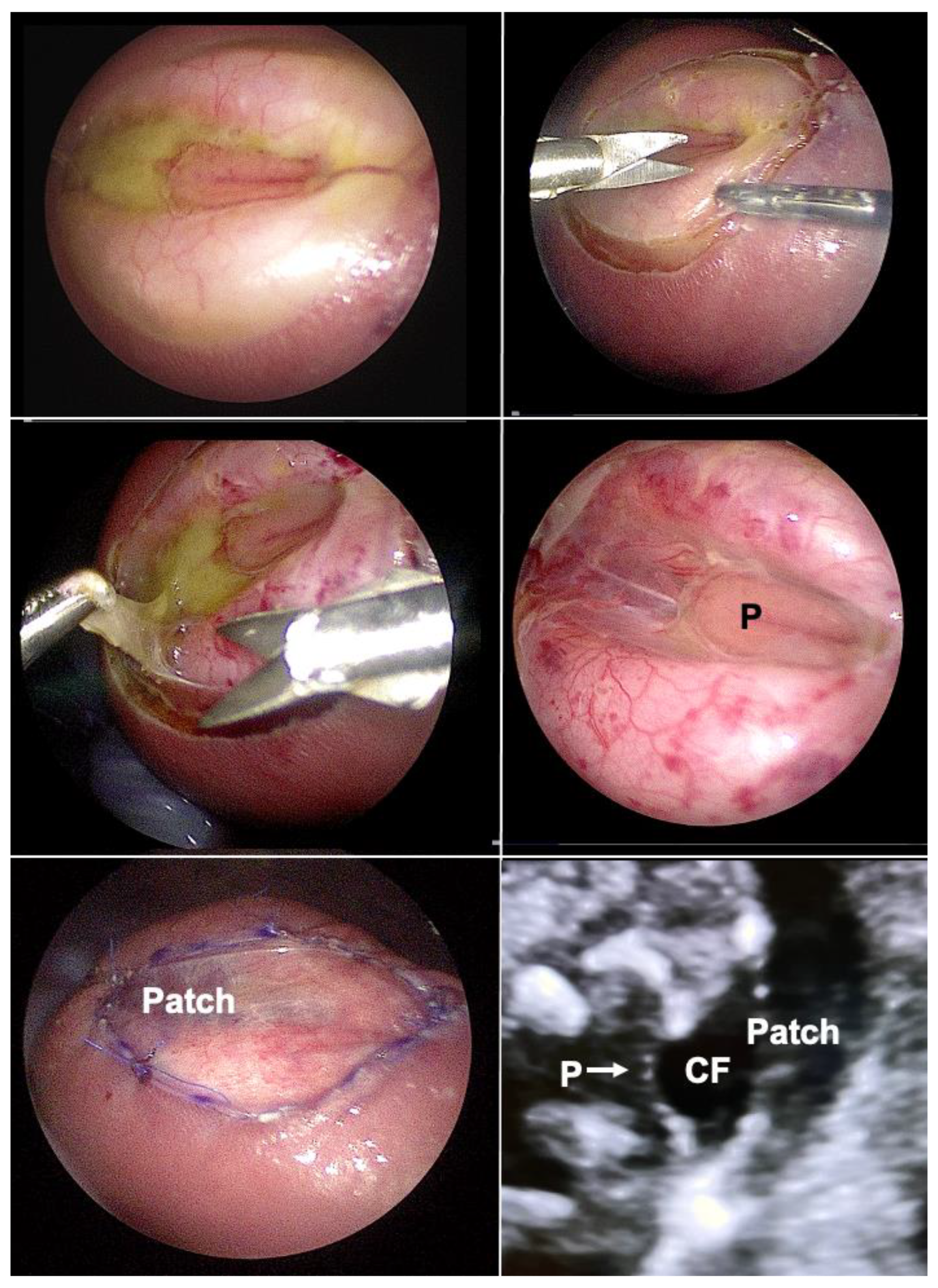 Children 10 00067 g009