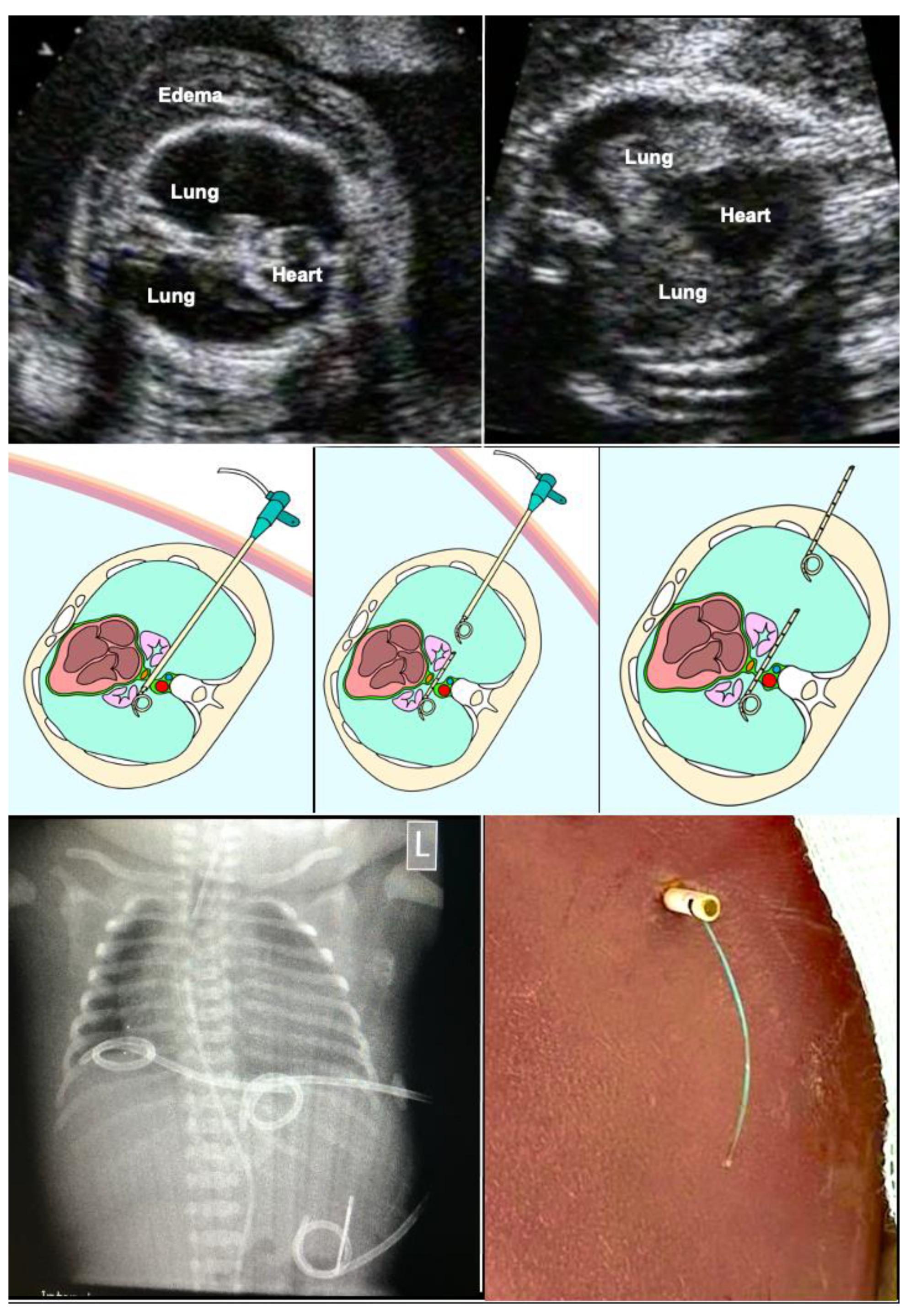 Children 10 00067 g010