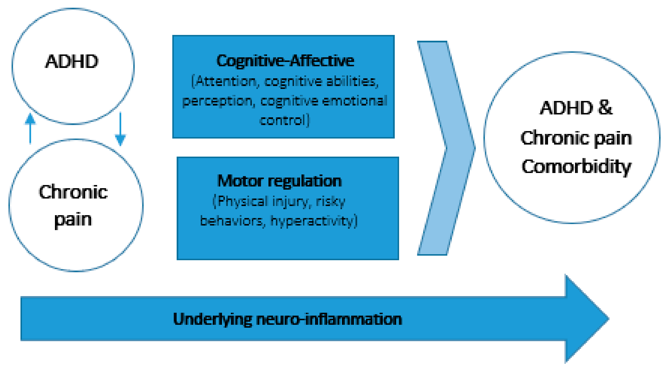Children 10 00142 g002 Children 10 00142 g002