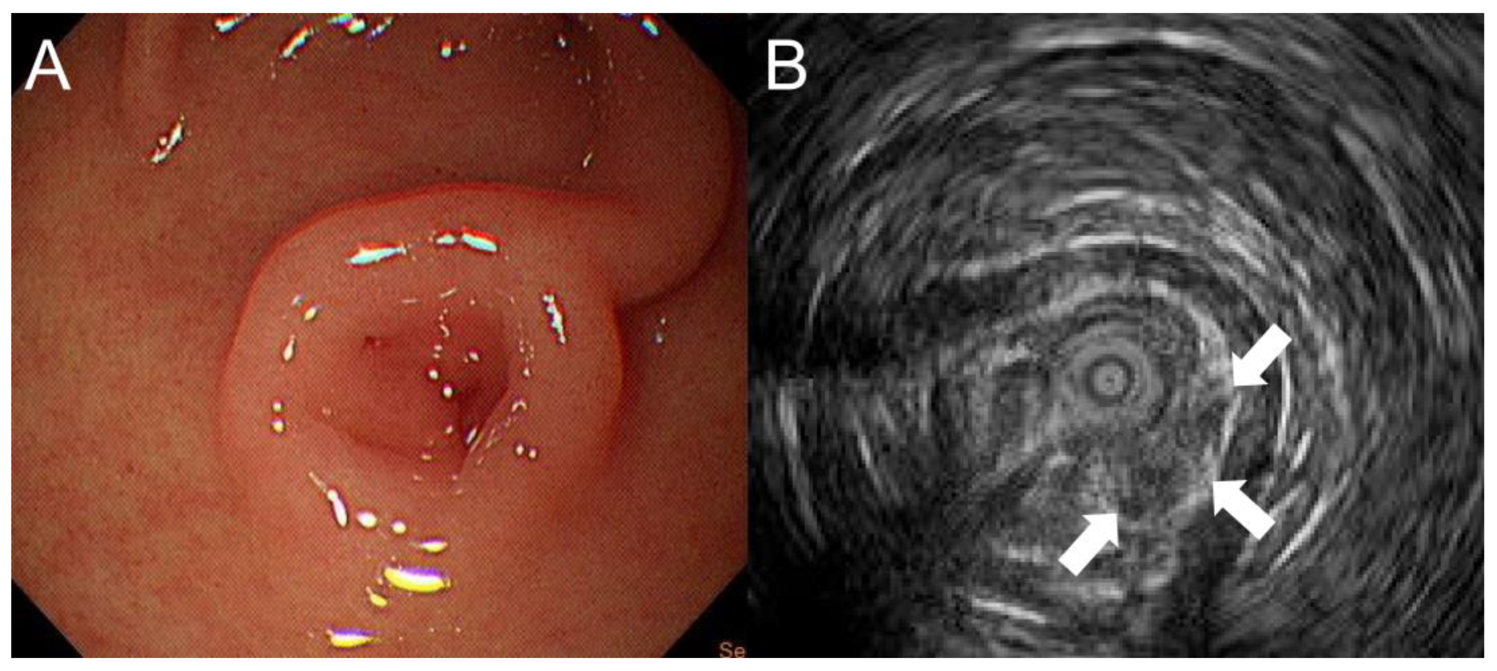 Children 10 00201 g001