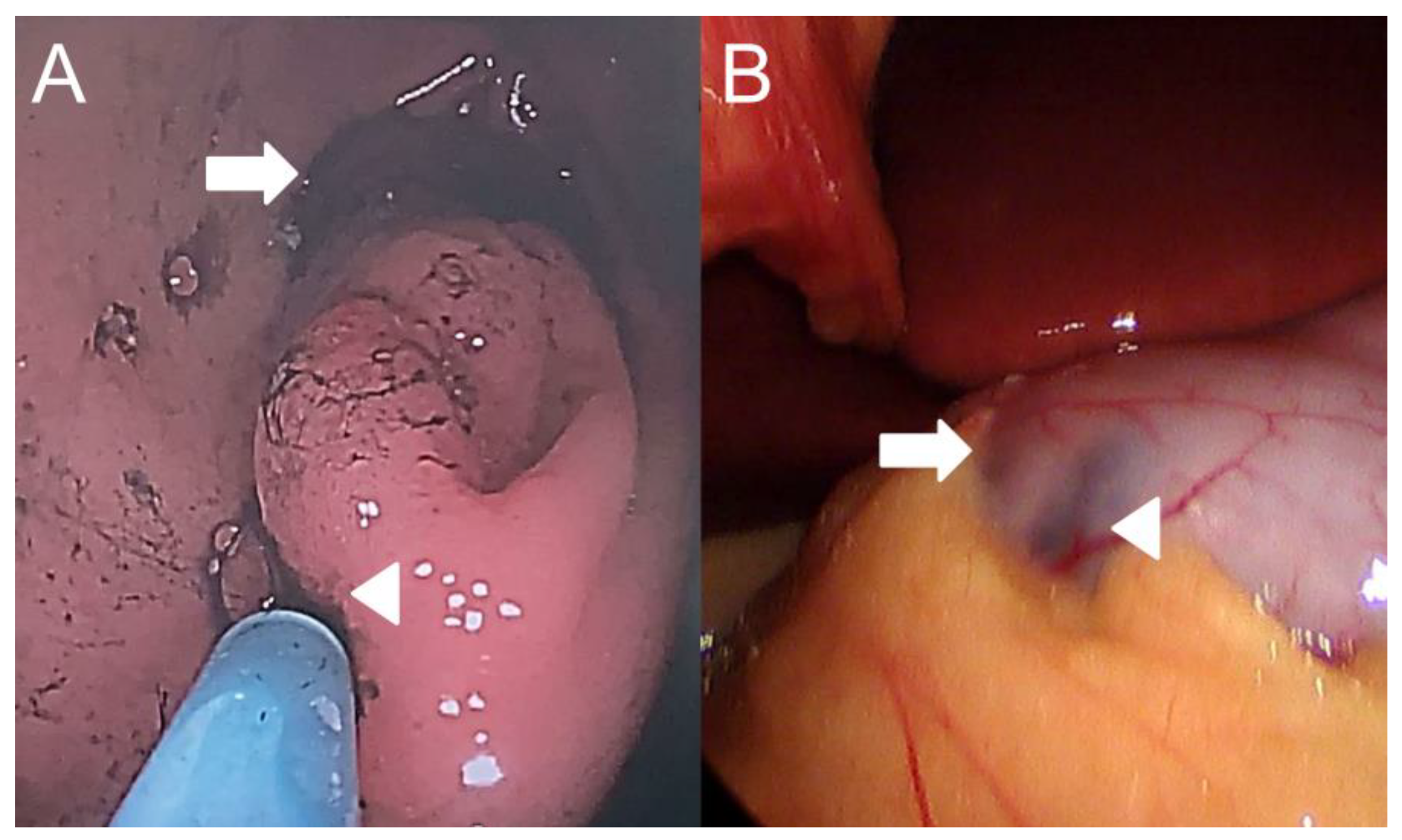 Children 10 00201 g002