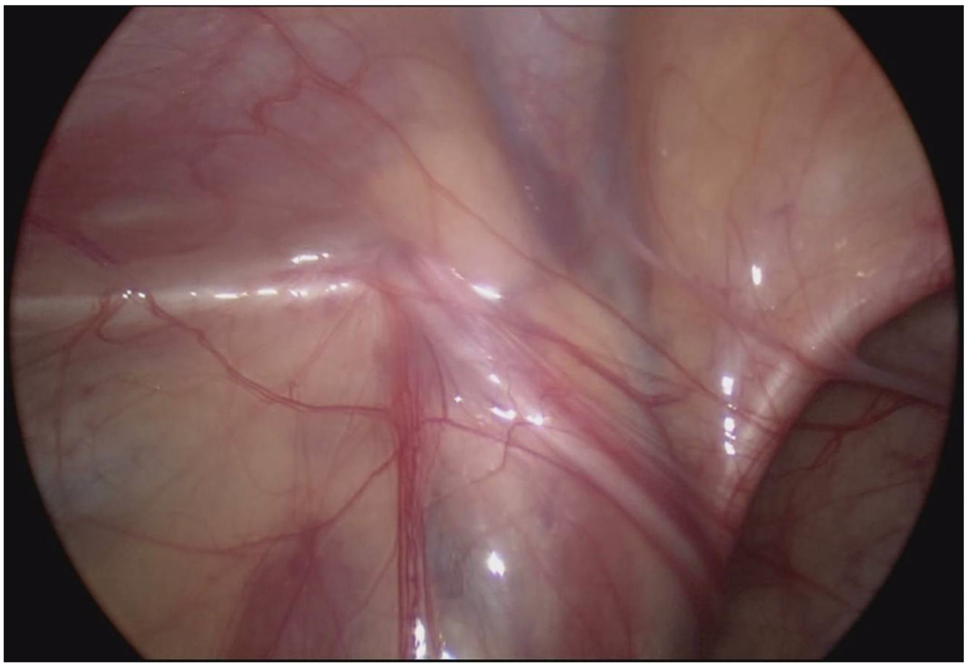 Children 10 00205 g001