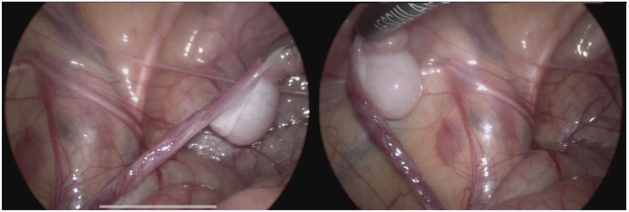 Children 10 00205 g002