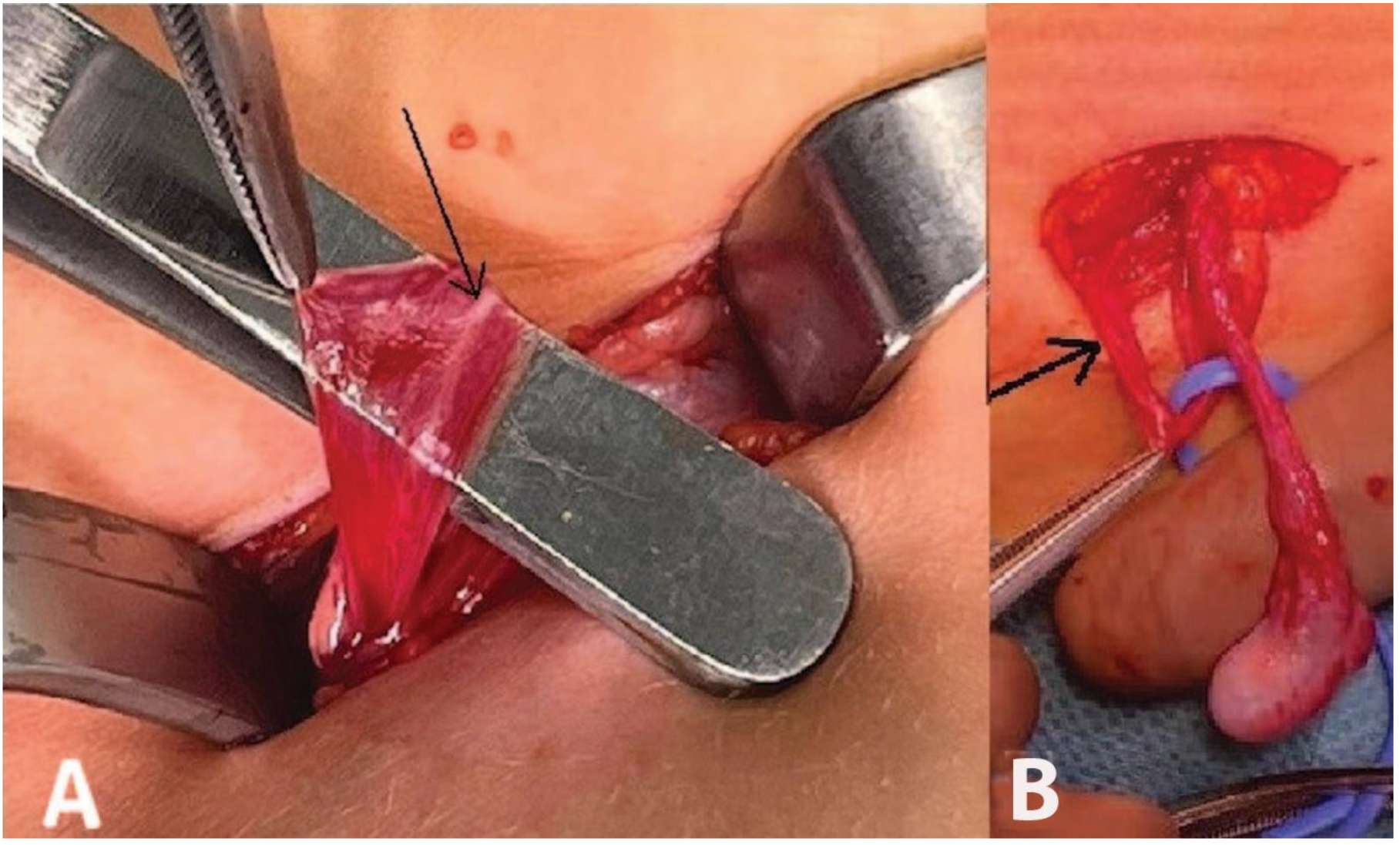 Children 10 00205 g006