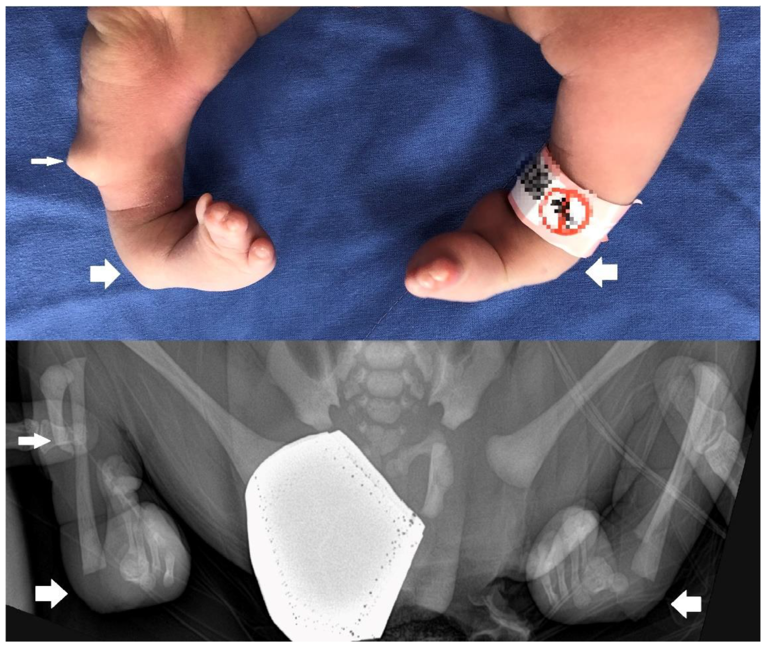 Children 10 00228 g001