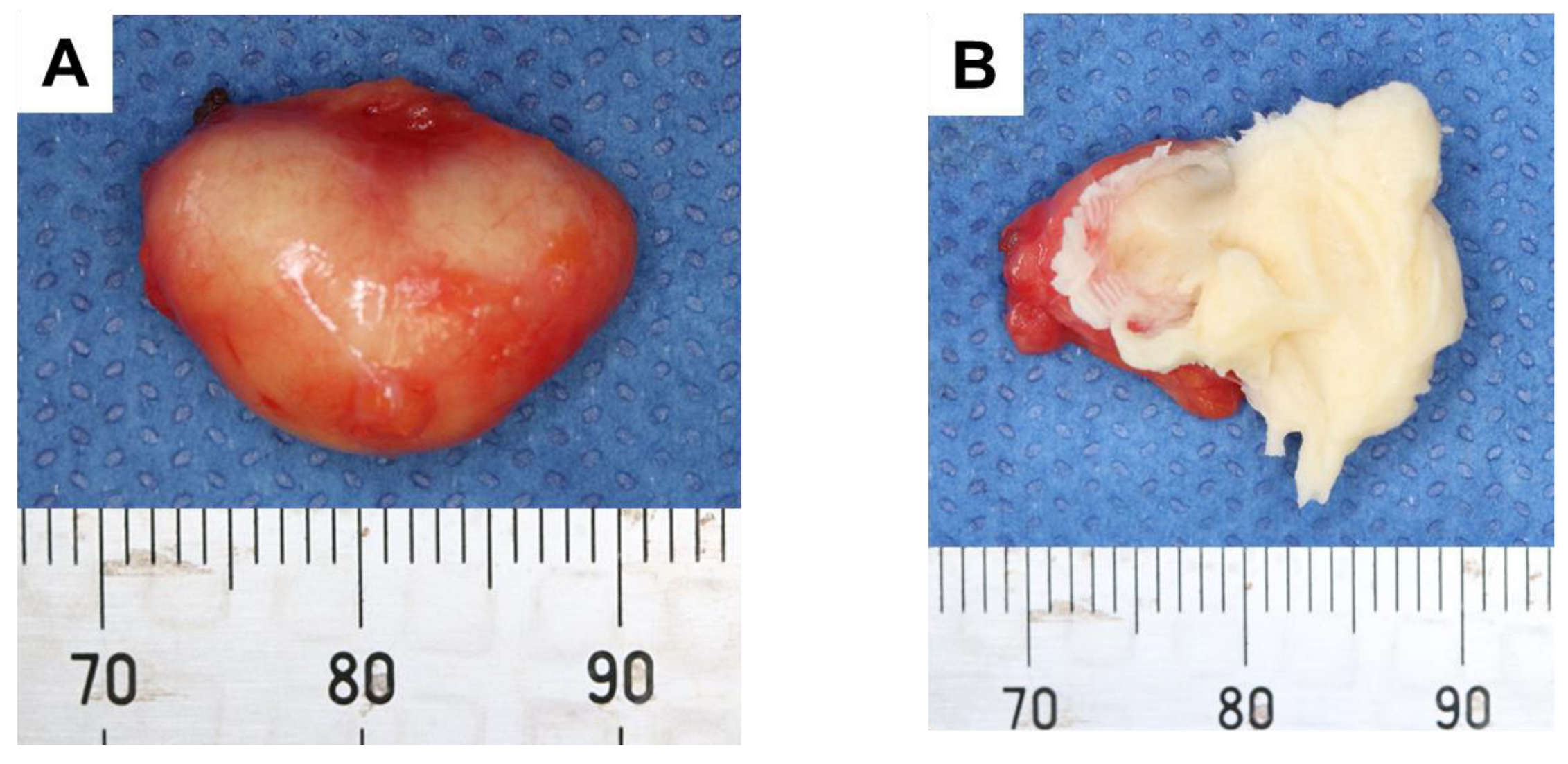 Children 10 00254 g004