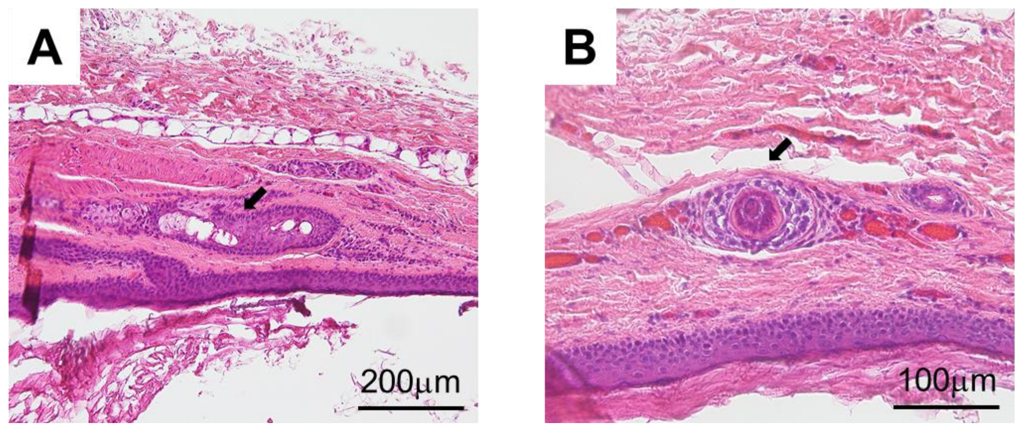 Children 10 00254 g005