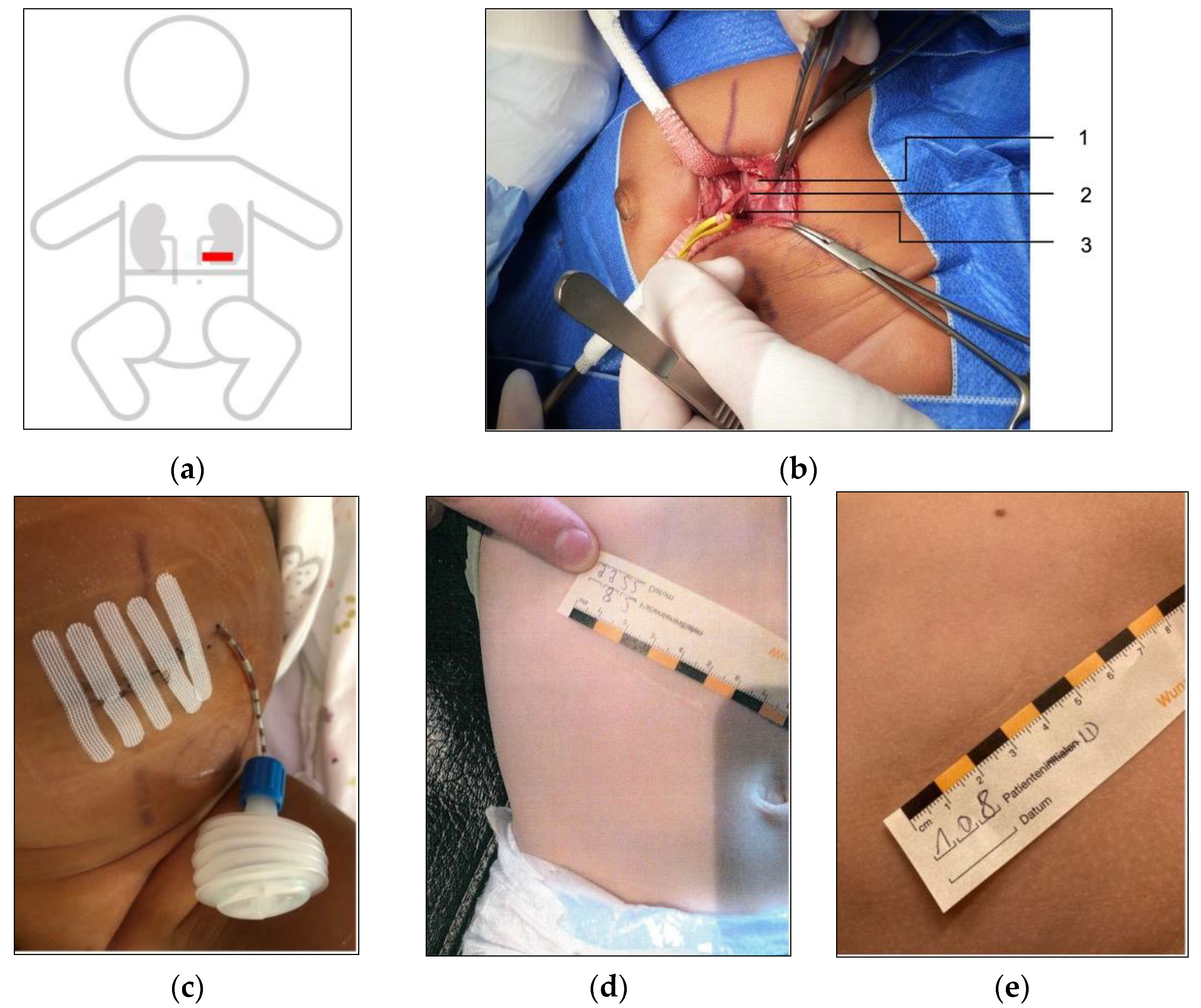 Children 10 00257 g001