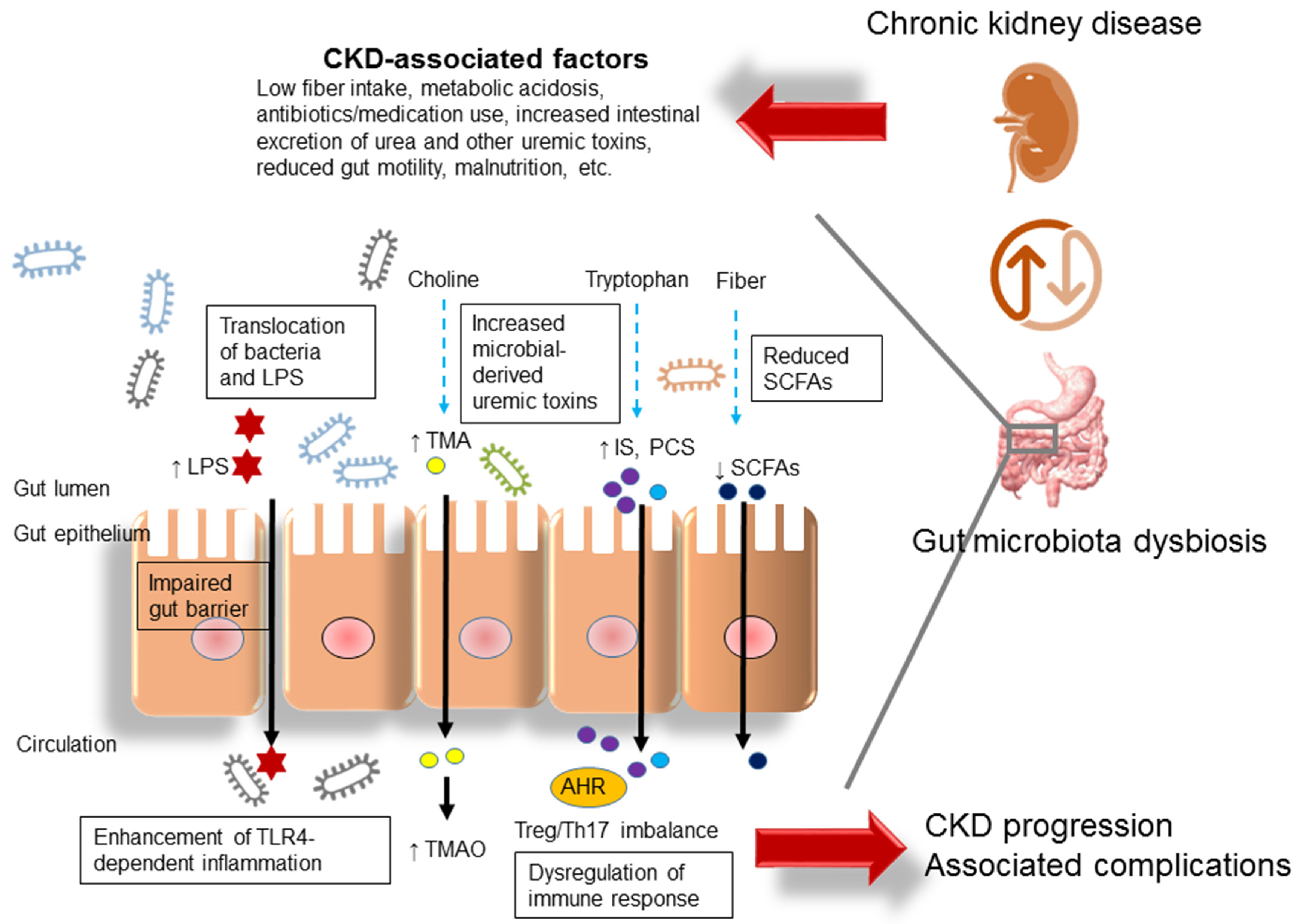 Children 10 00269 g001