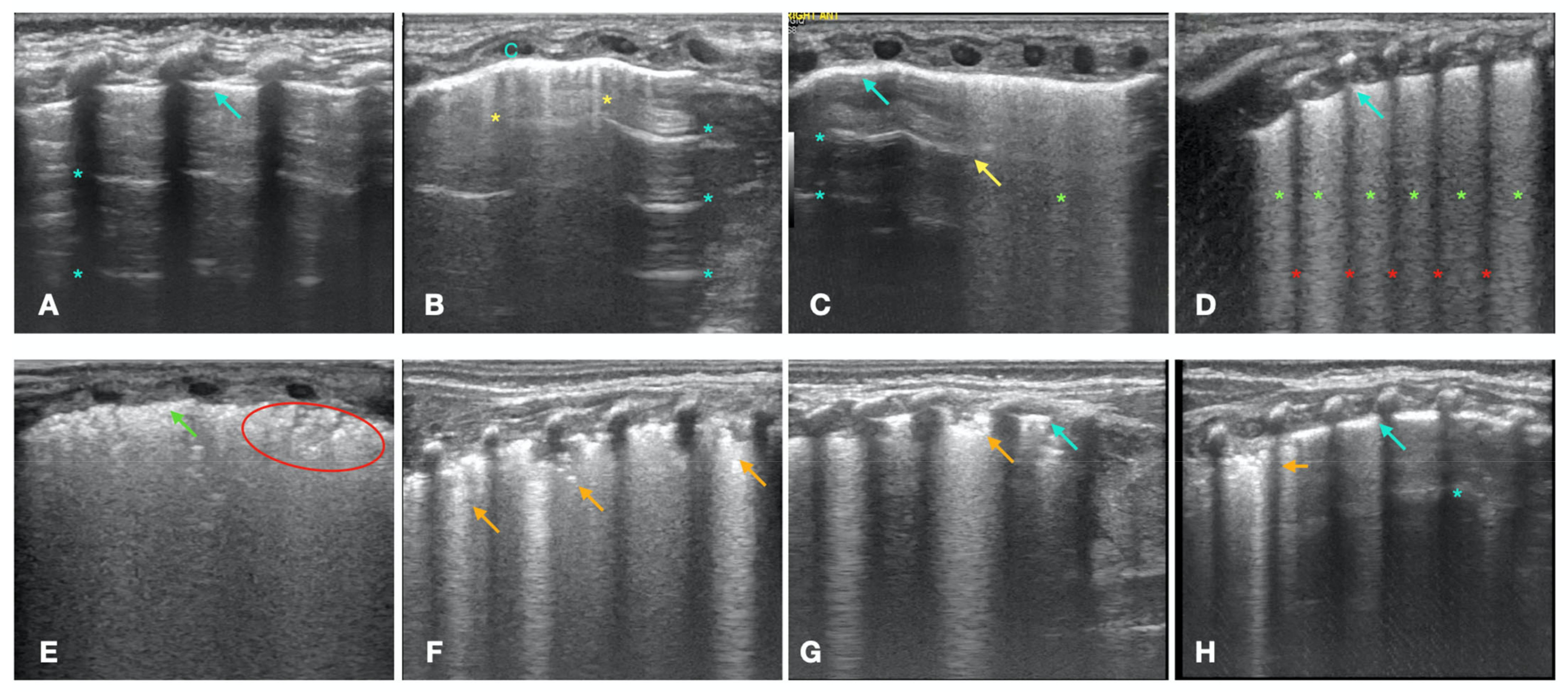 Children 10 00289 g001