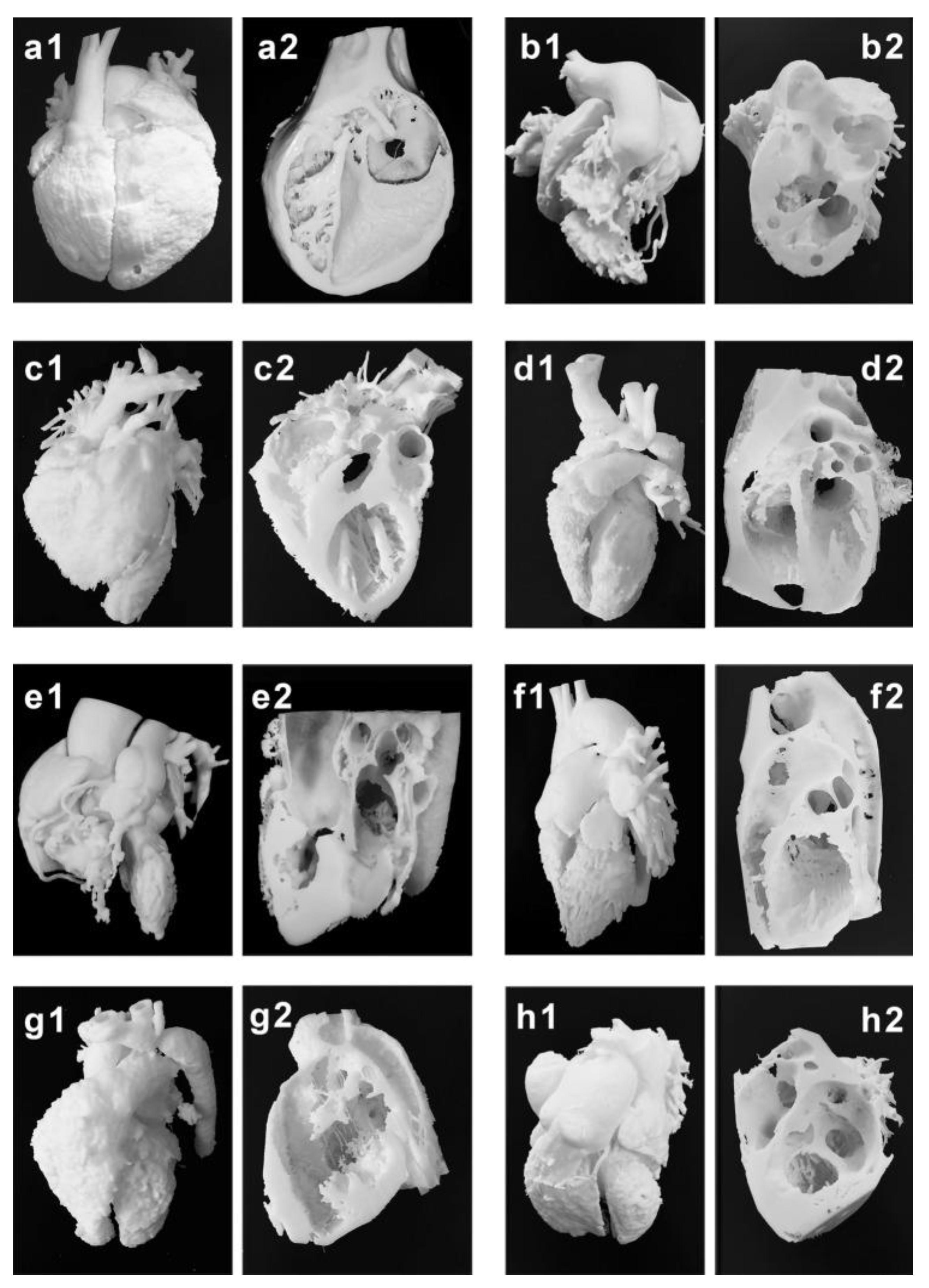 Children 10 00319 g003