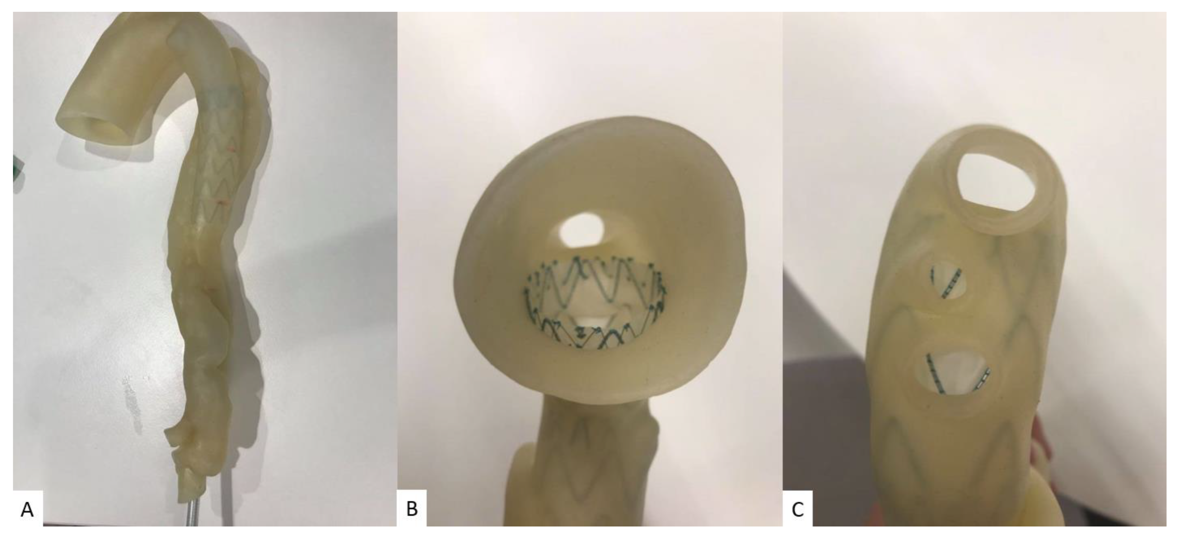 Children 10 00319 g004