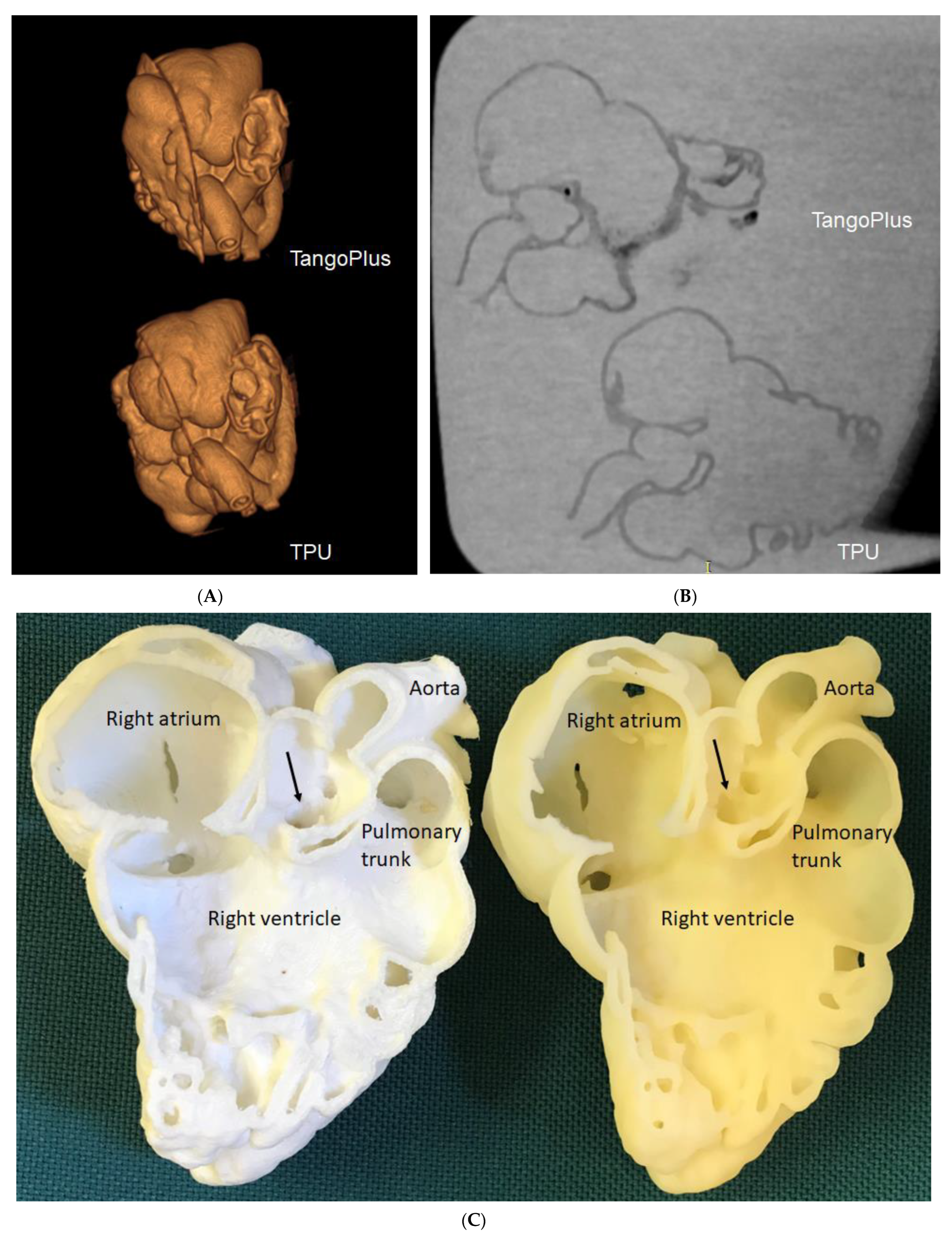 Children 10 00319 g005