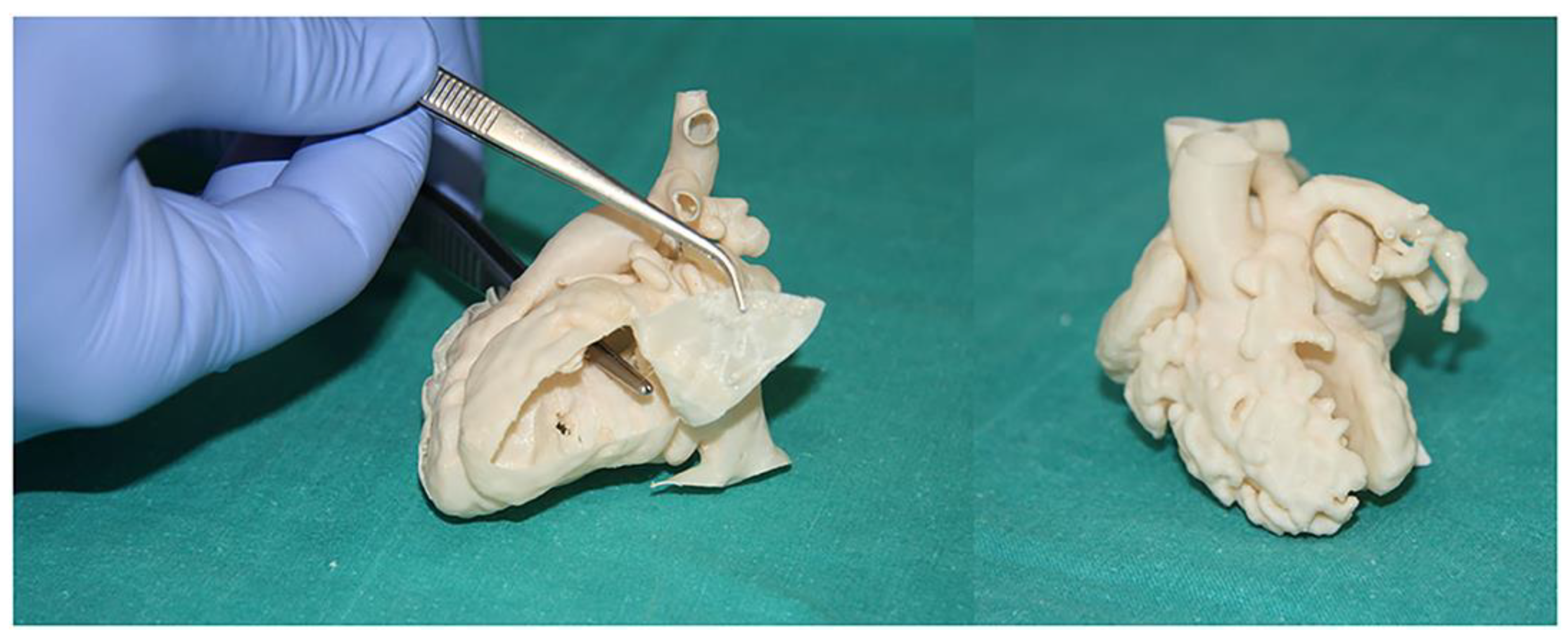 Children 10 00319 g010