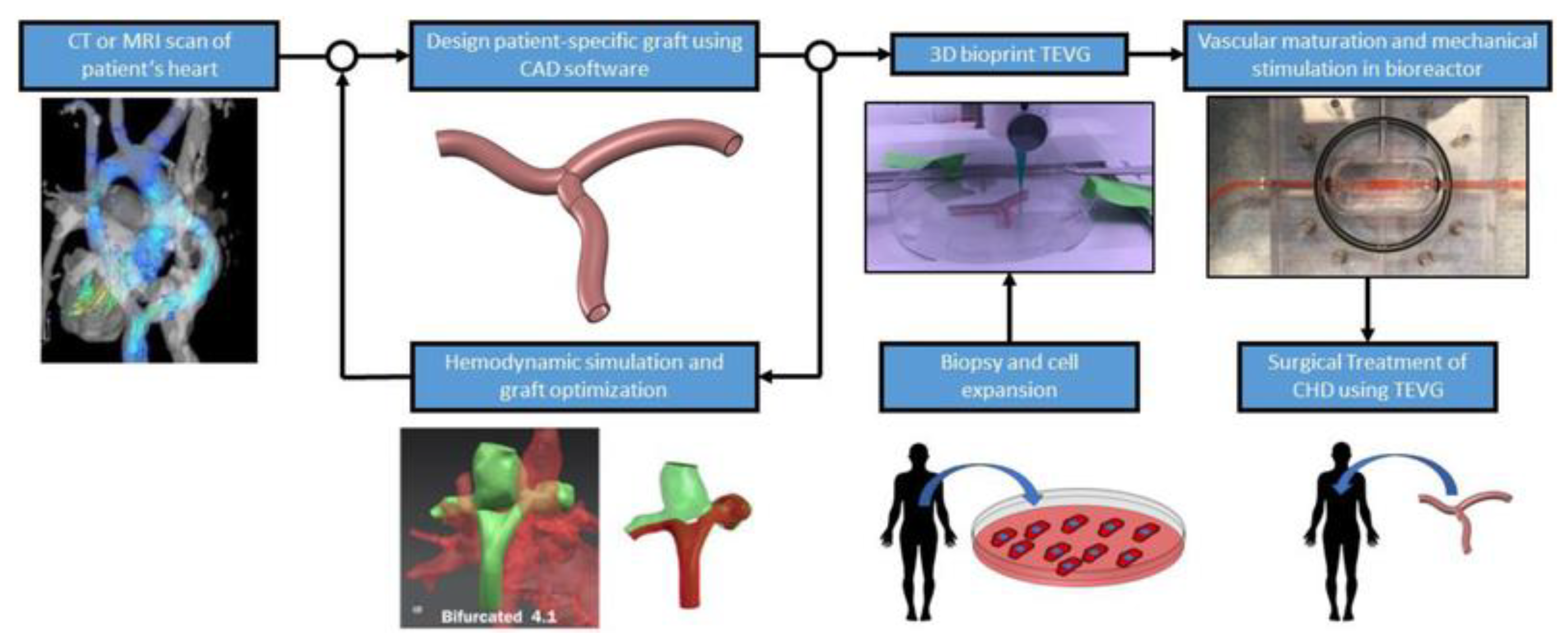 Children 10 00319 g015