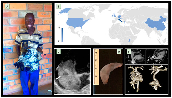 Children 10 00321 g001 550