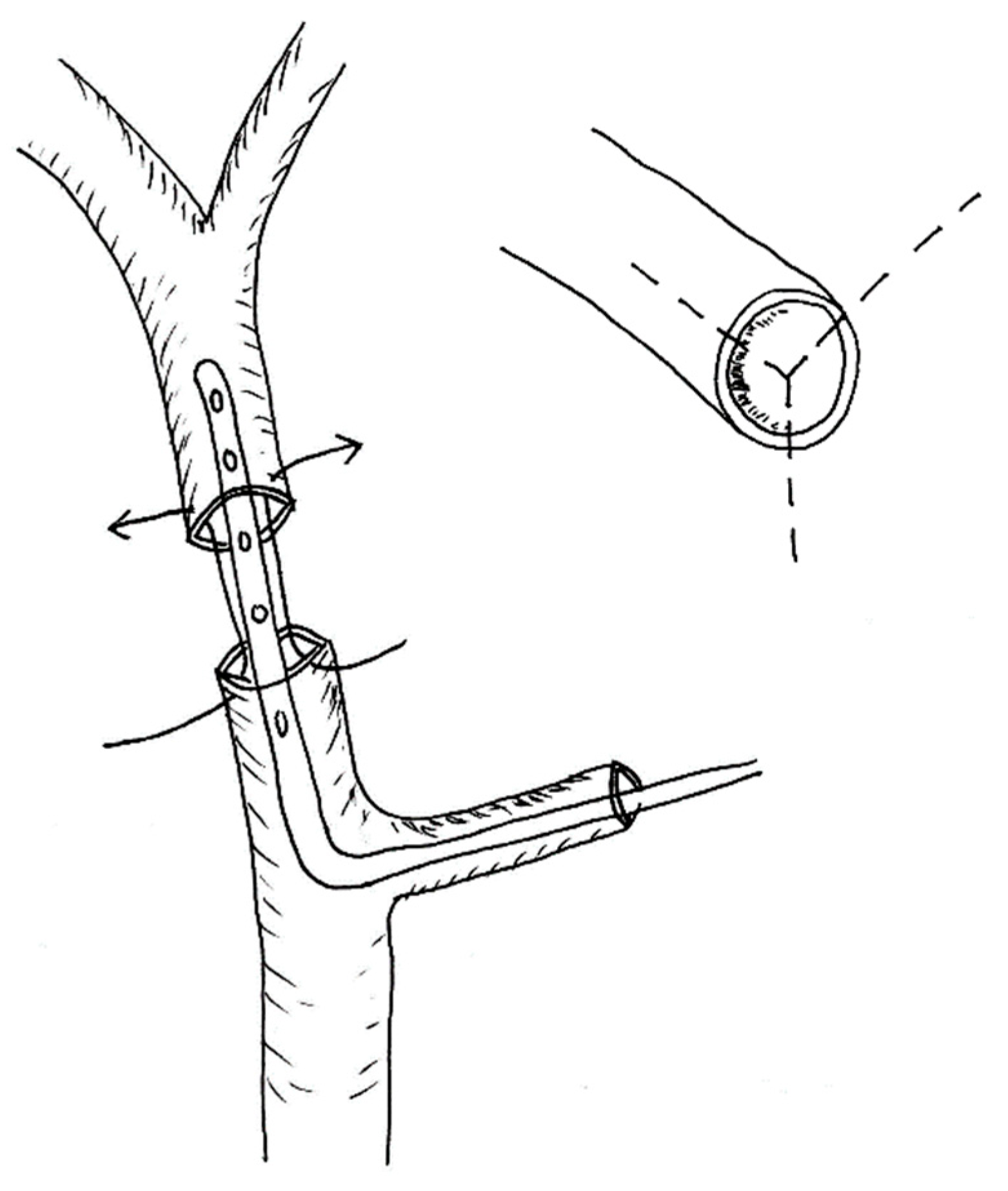Children 10 00340 g001