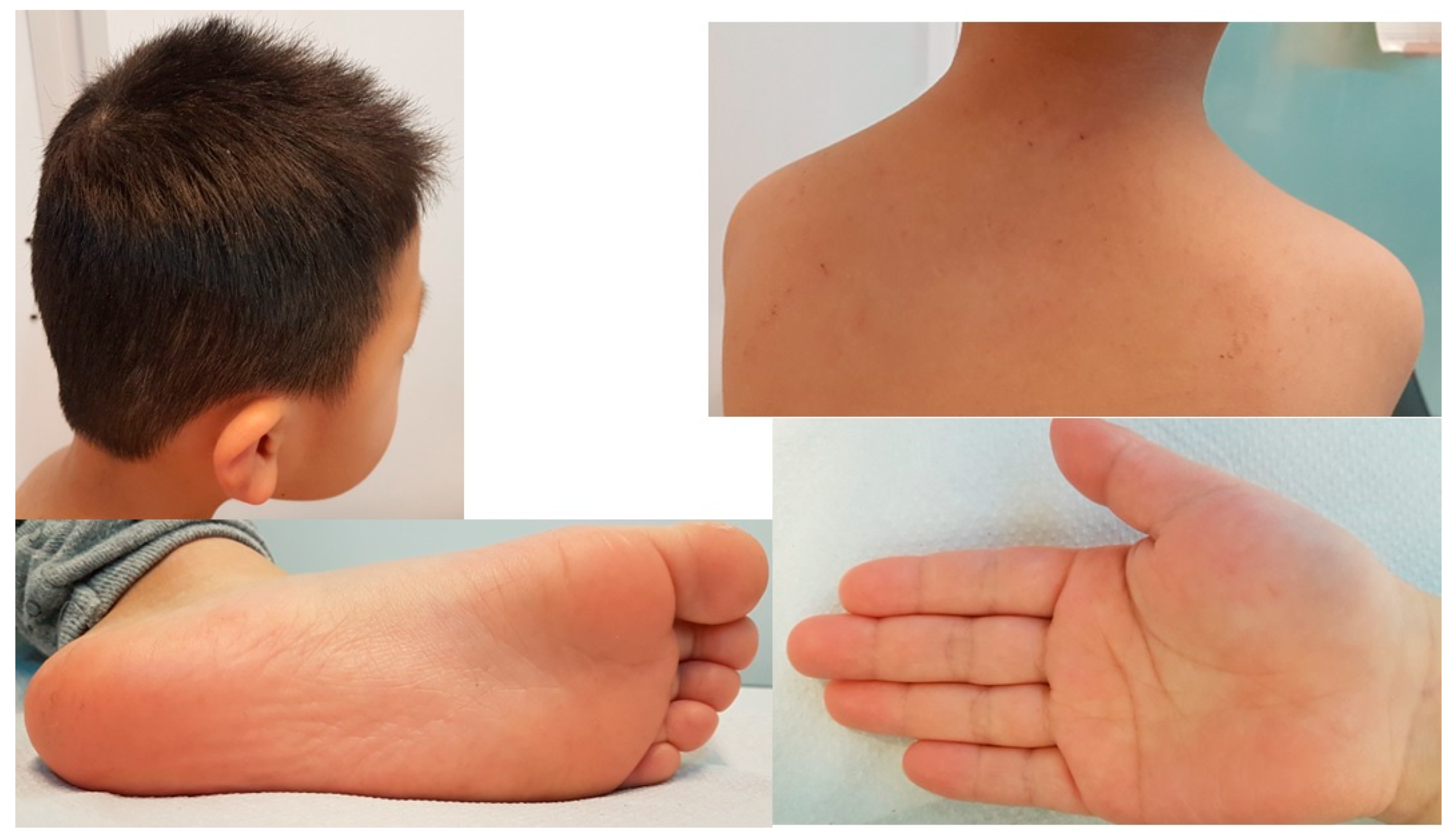 Children 10 00356 g004