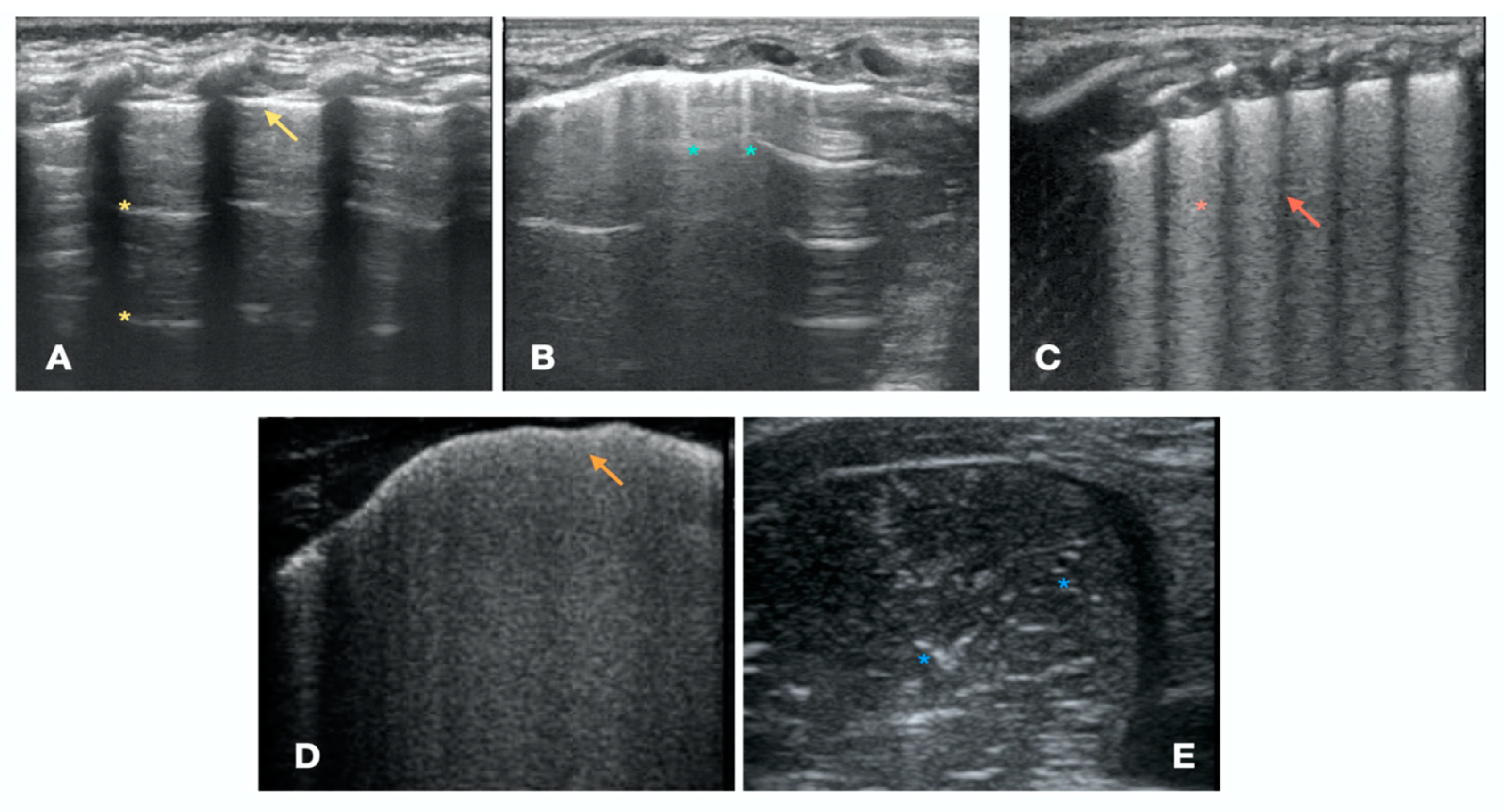 Children 10 00462 g002