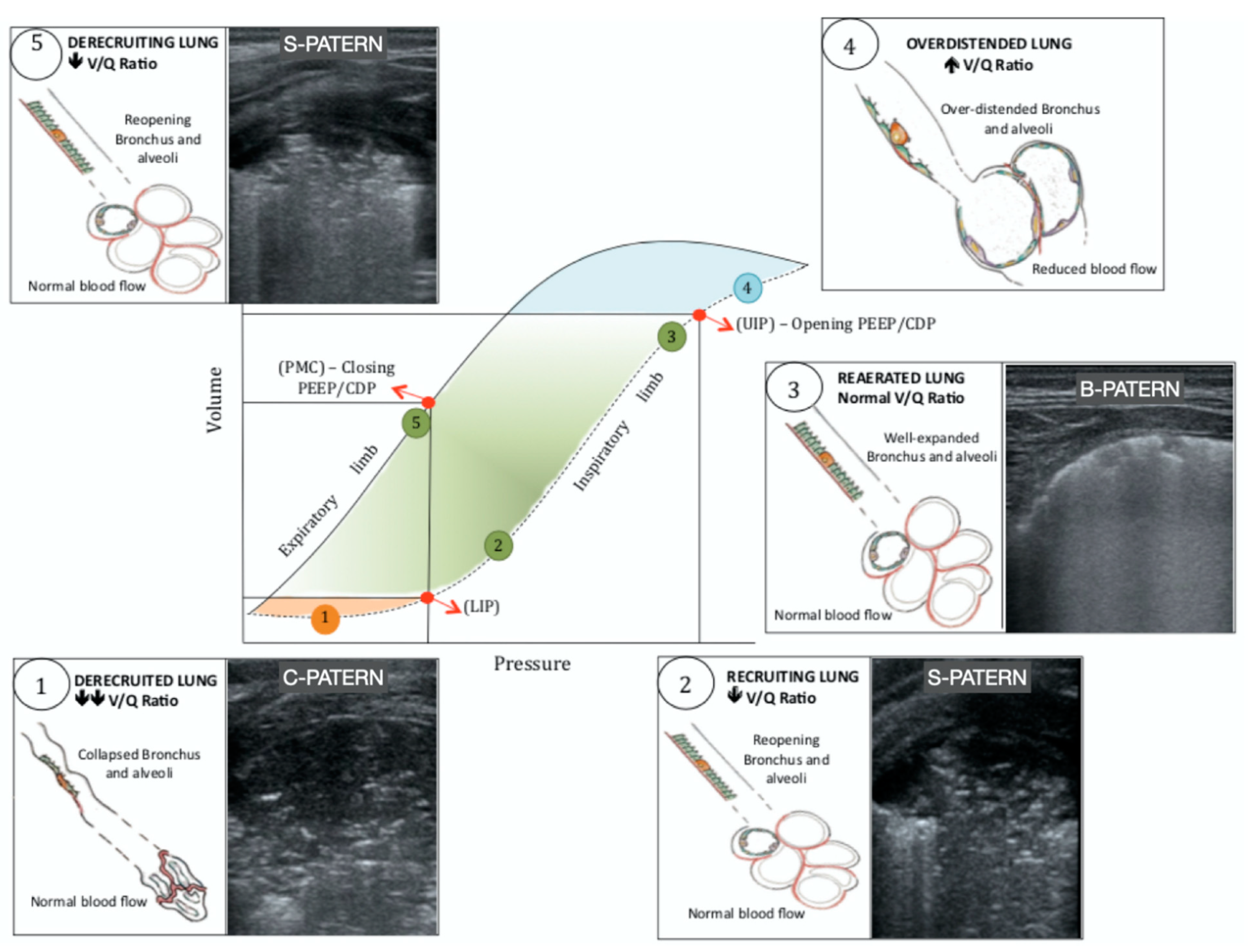 Children 10 00462 g004