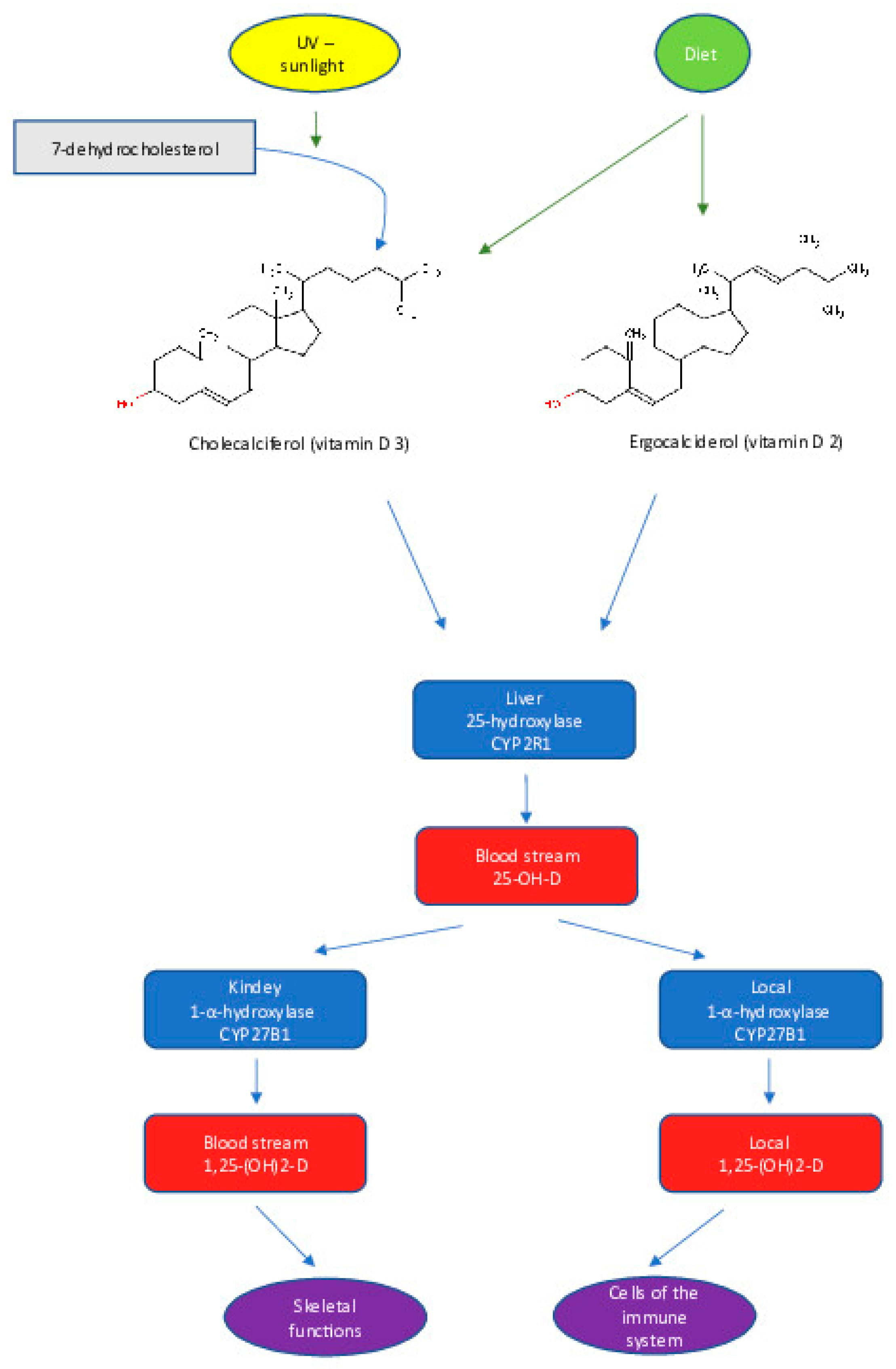 Children 10 00468 g001 Children 10 00468 g001