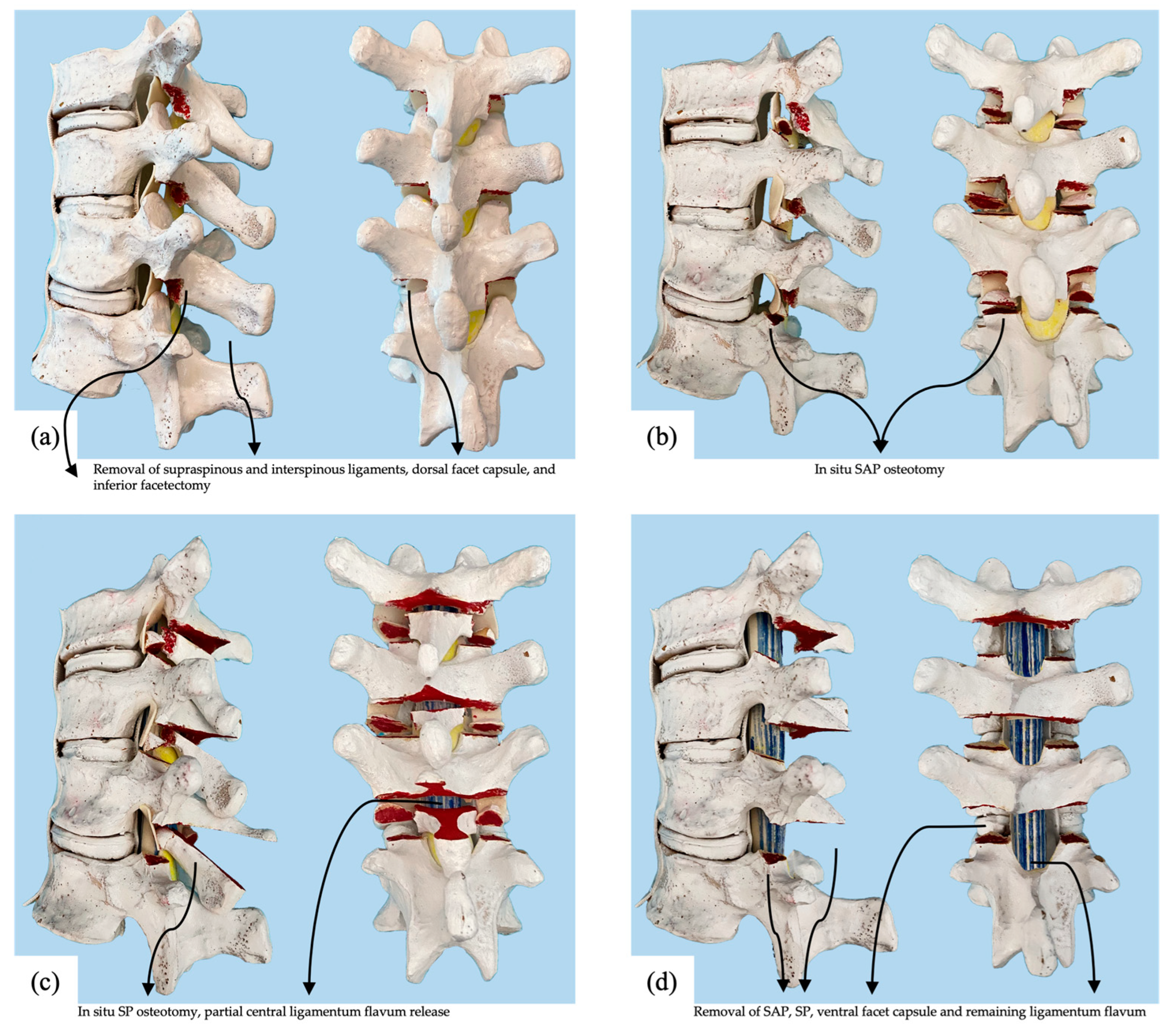 Children 10 00470 g002 Children 10 00470 g002