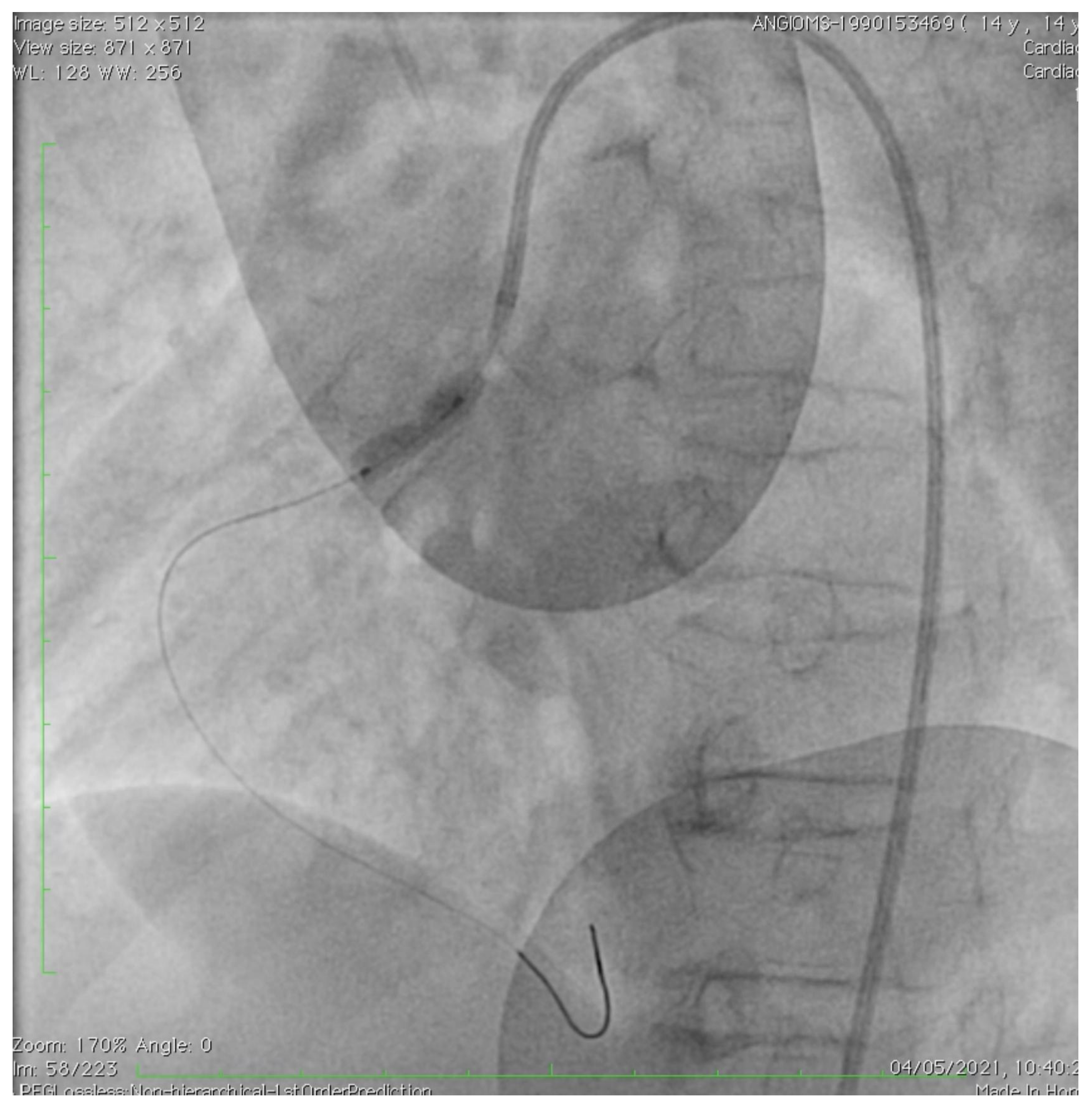 Children 10 00526 g003