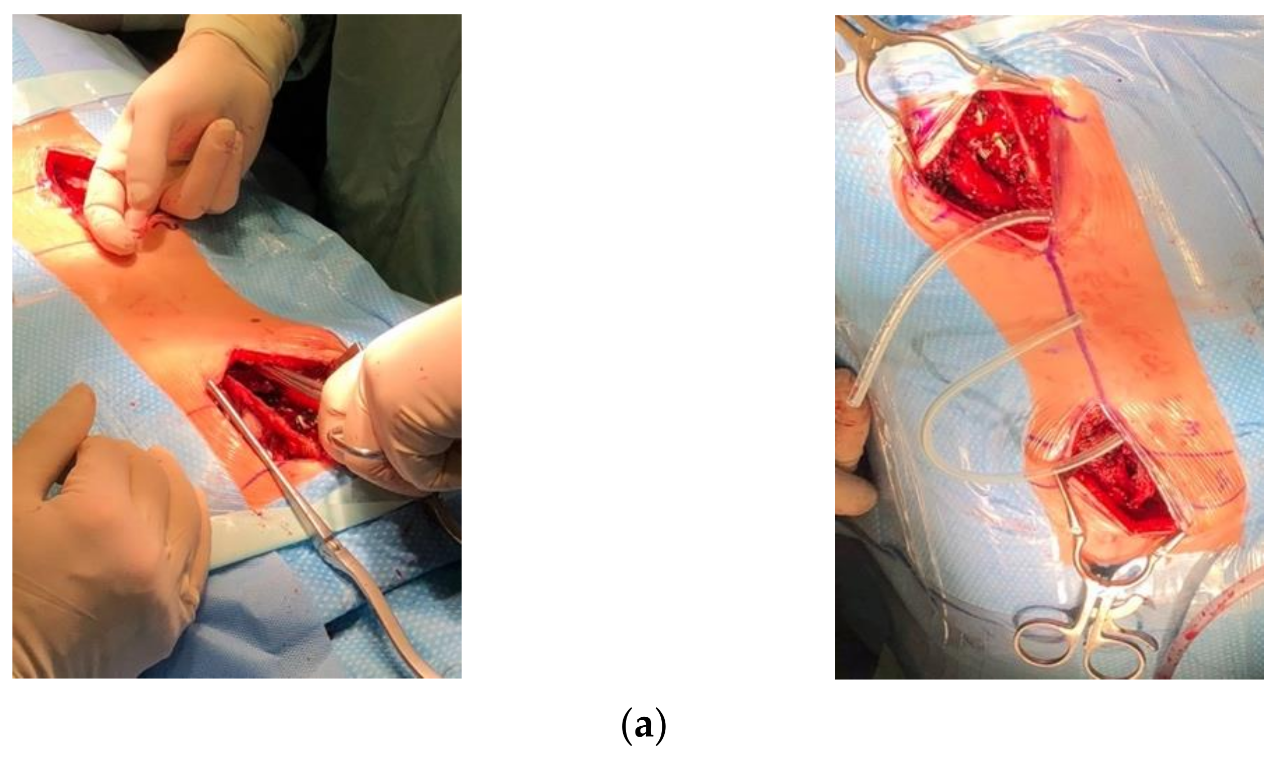 Children 10 00555 g006a