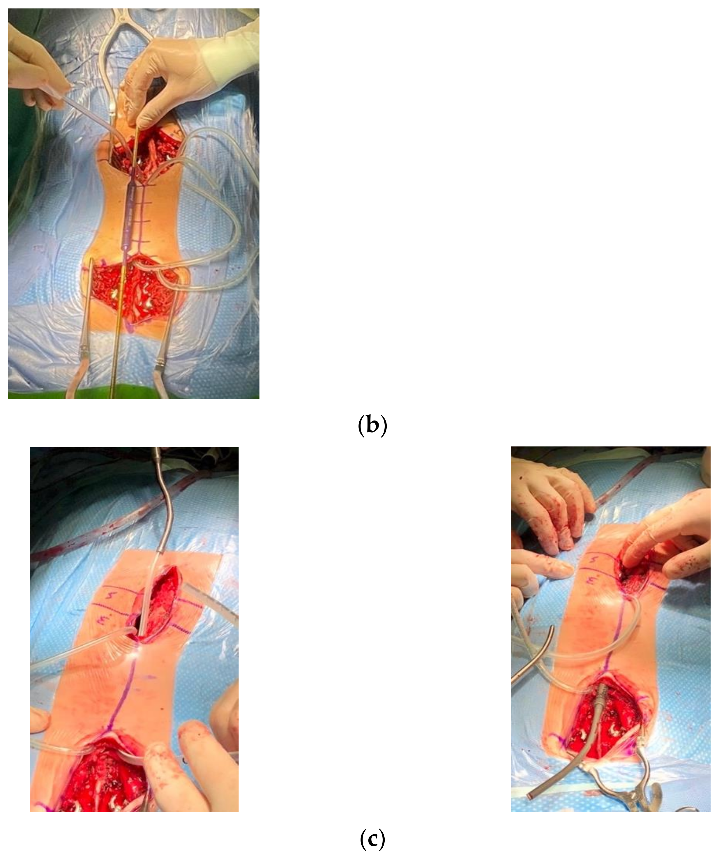 Children 10 00555 g006b