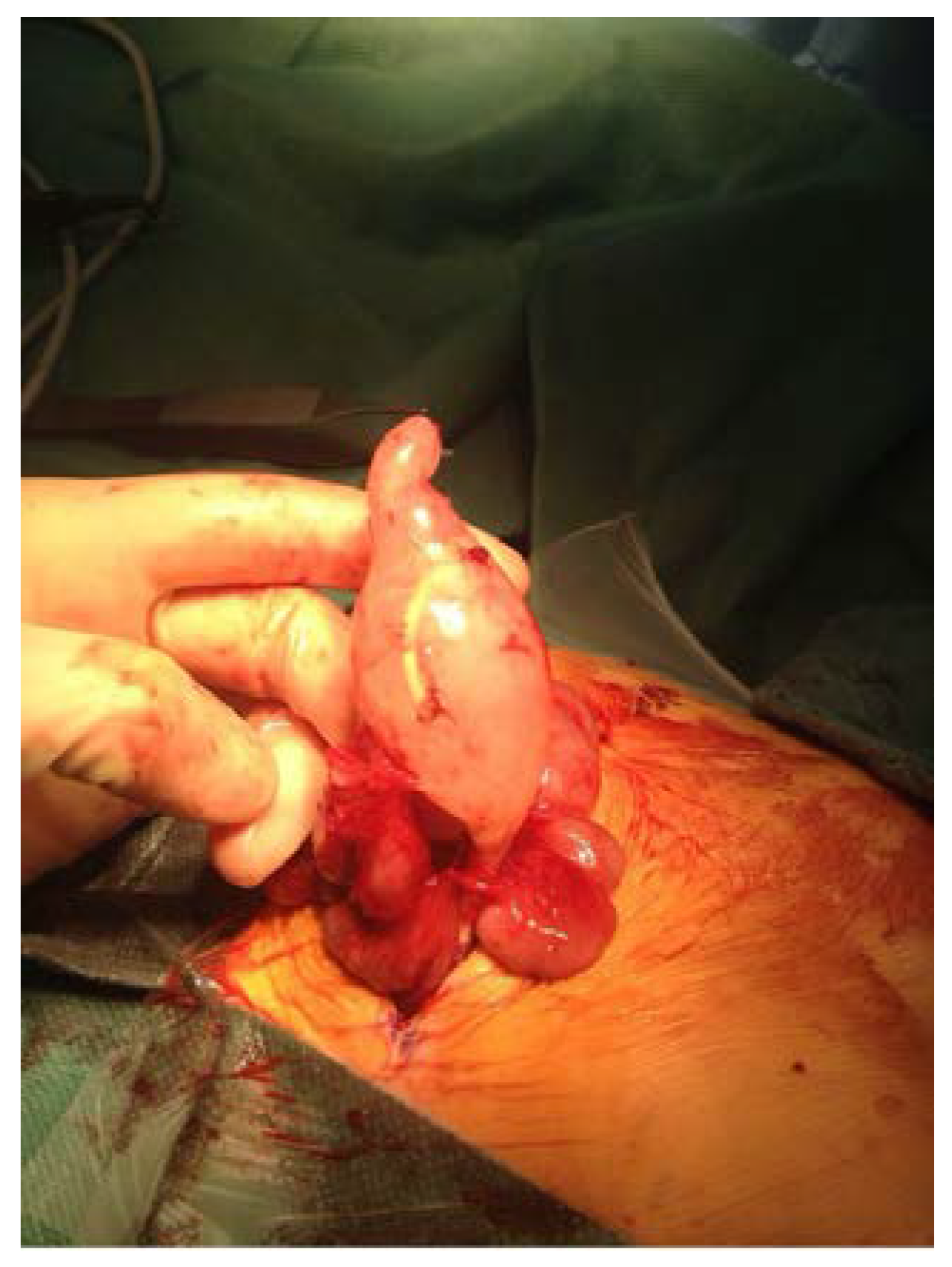 Children 10 00571 g001