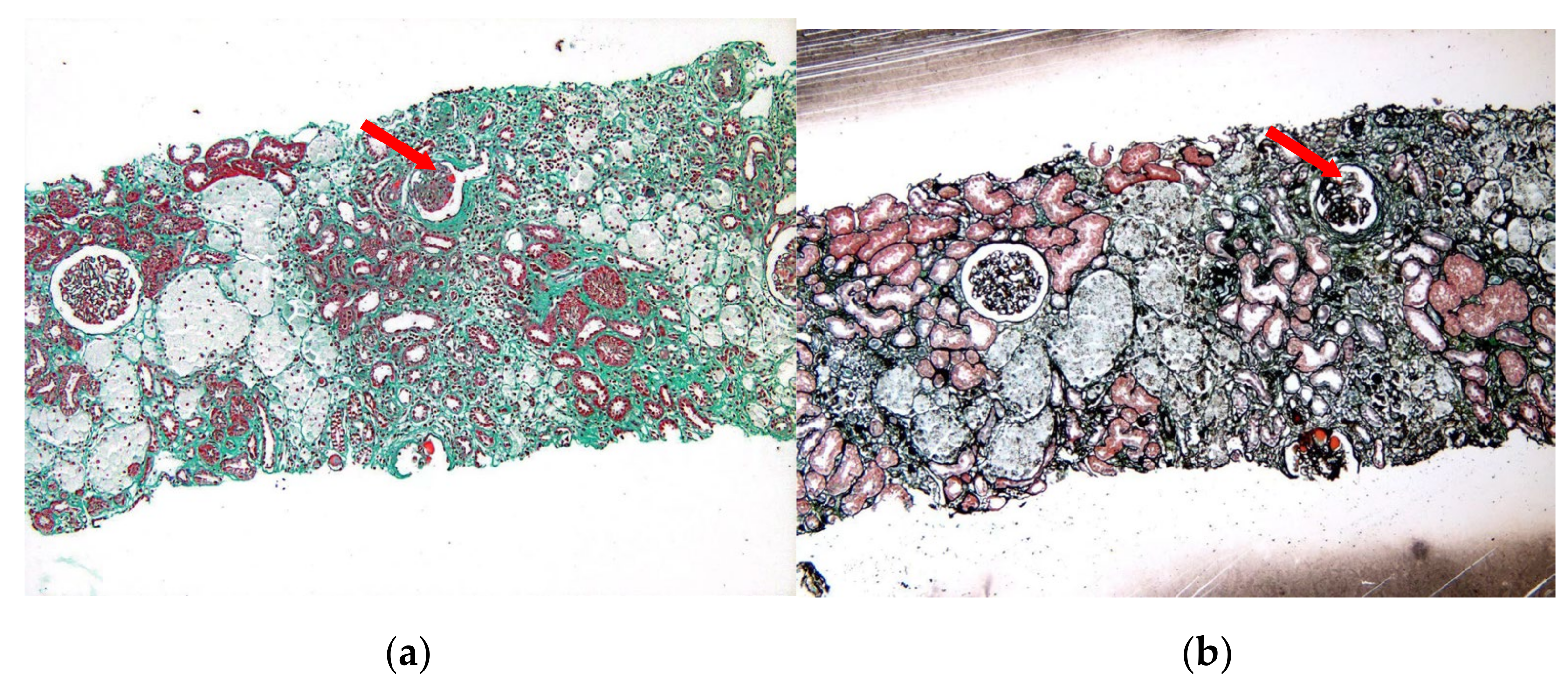 Children 10 00577 g001 Children 10 00577 g001