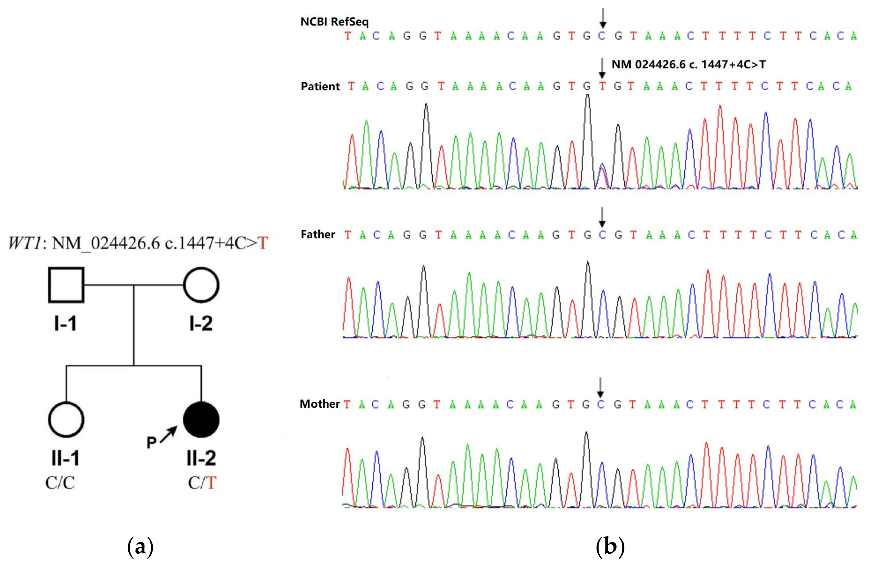 Children 10 00577 g002 Children 10 00577 g002