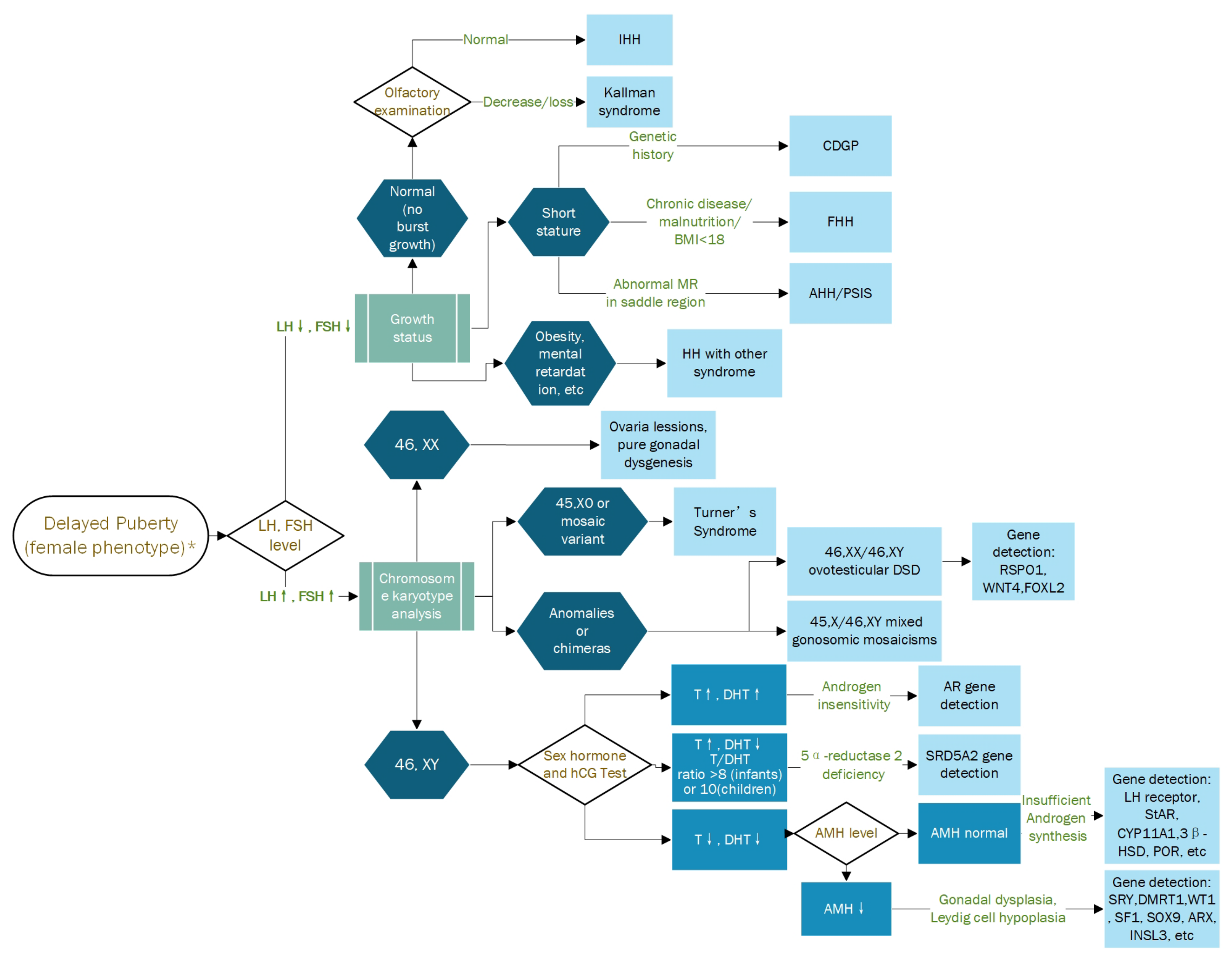 Children 10 00577 g003 Children 10 00577 g003