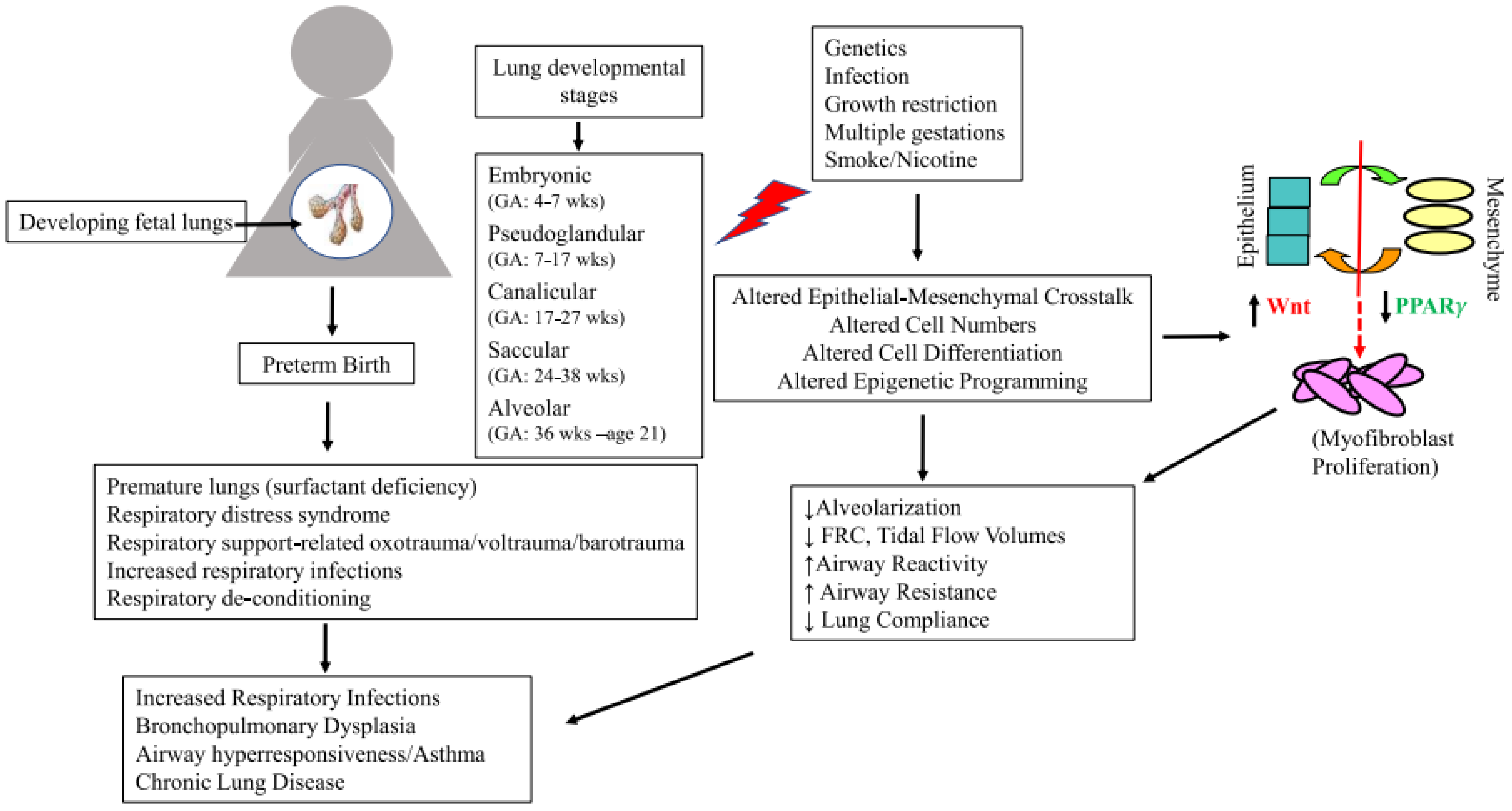 Children 10 00608 g001