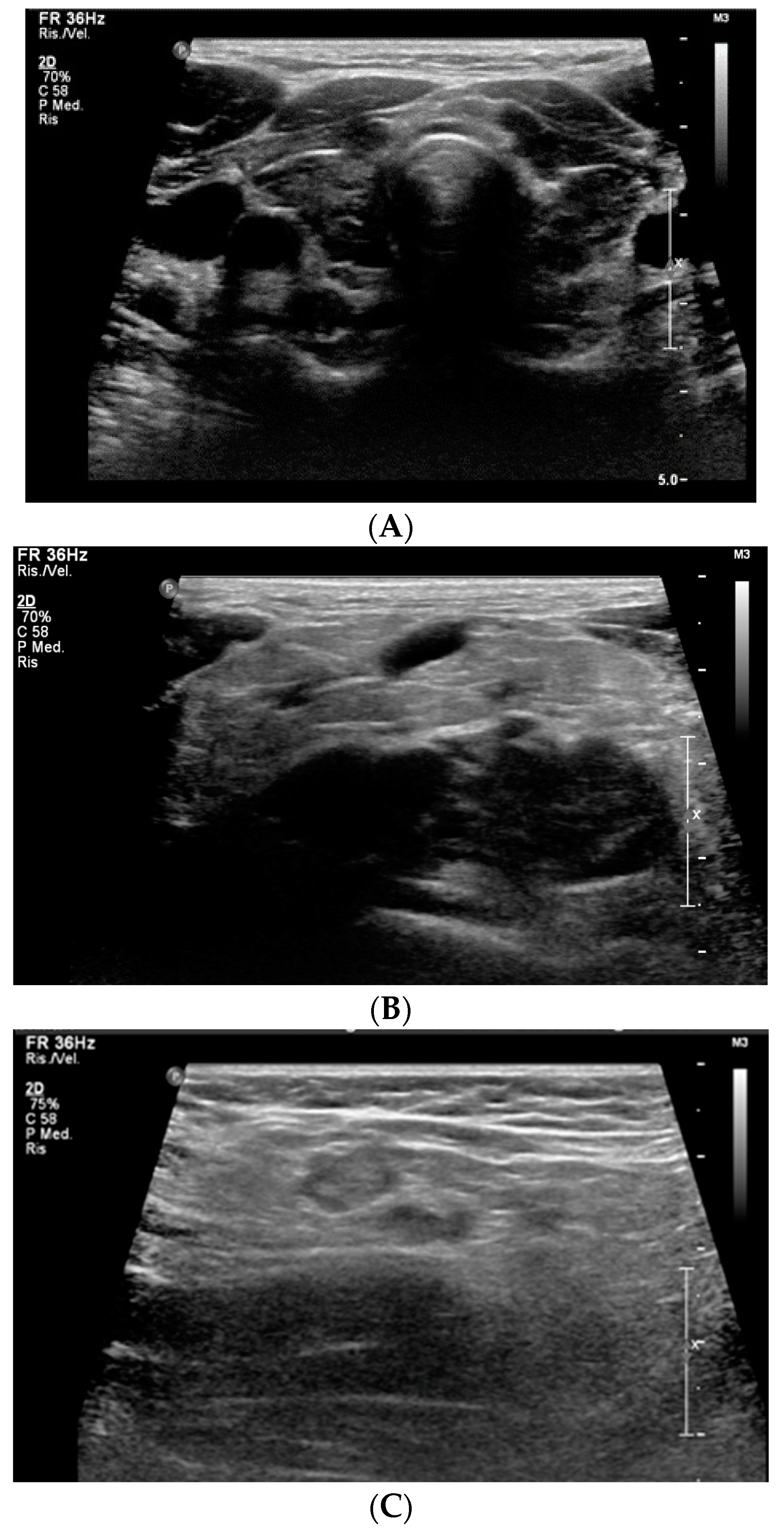 Children 10 00614 g001