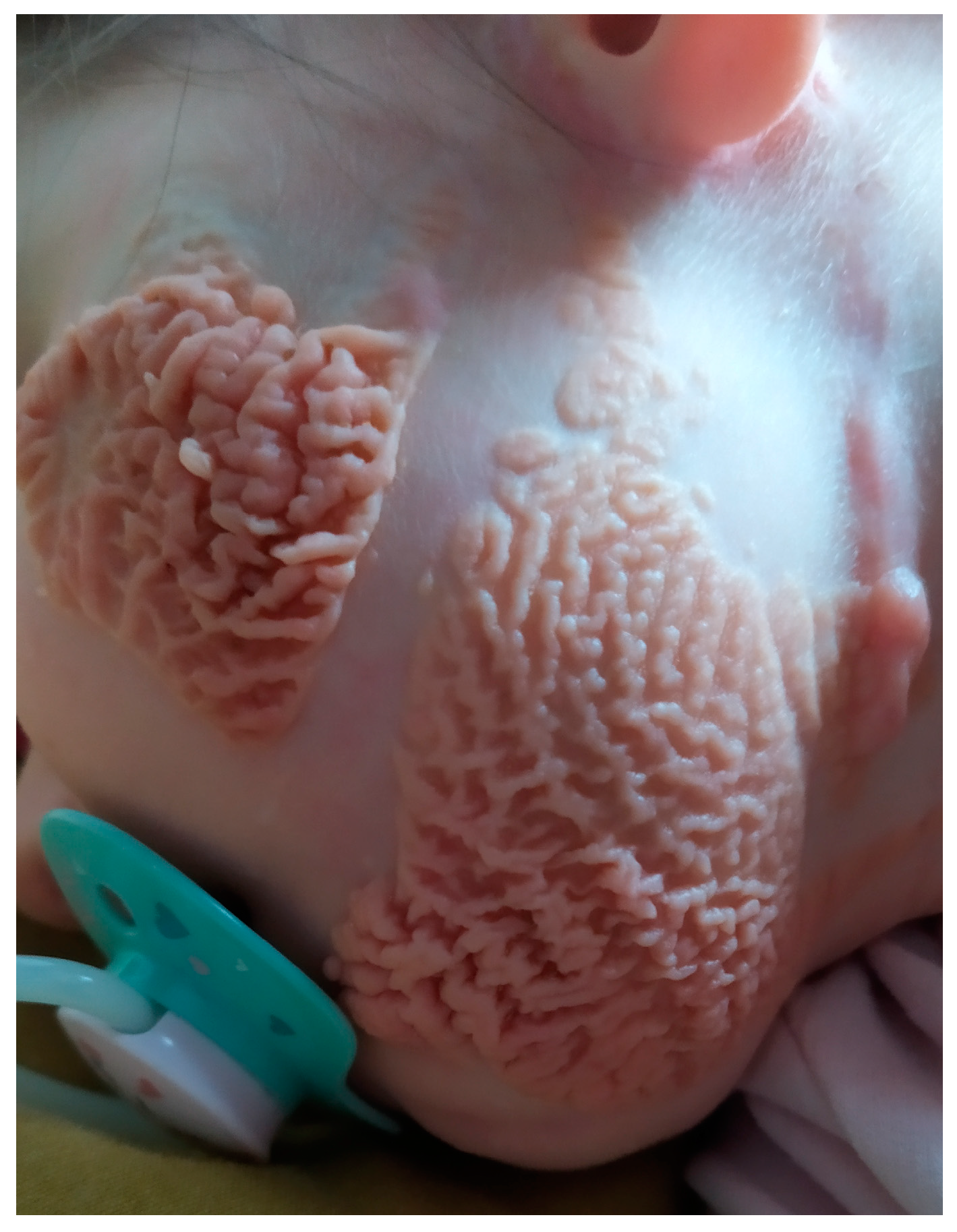 Children 10 00628 g001