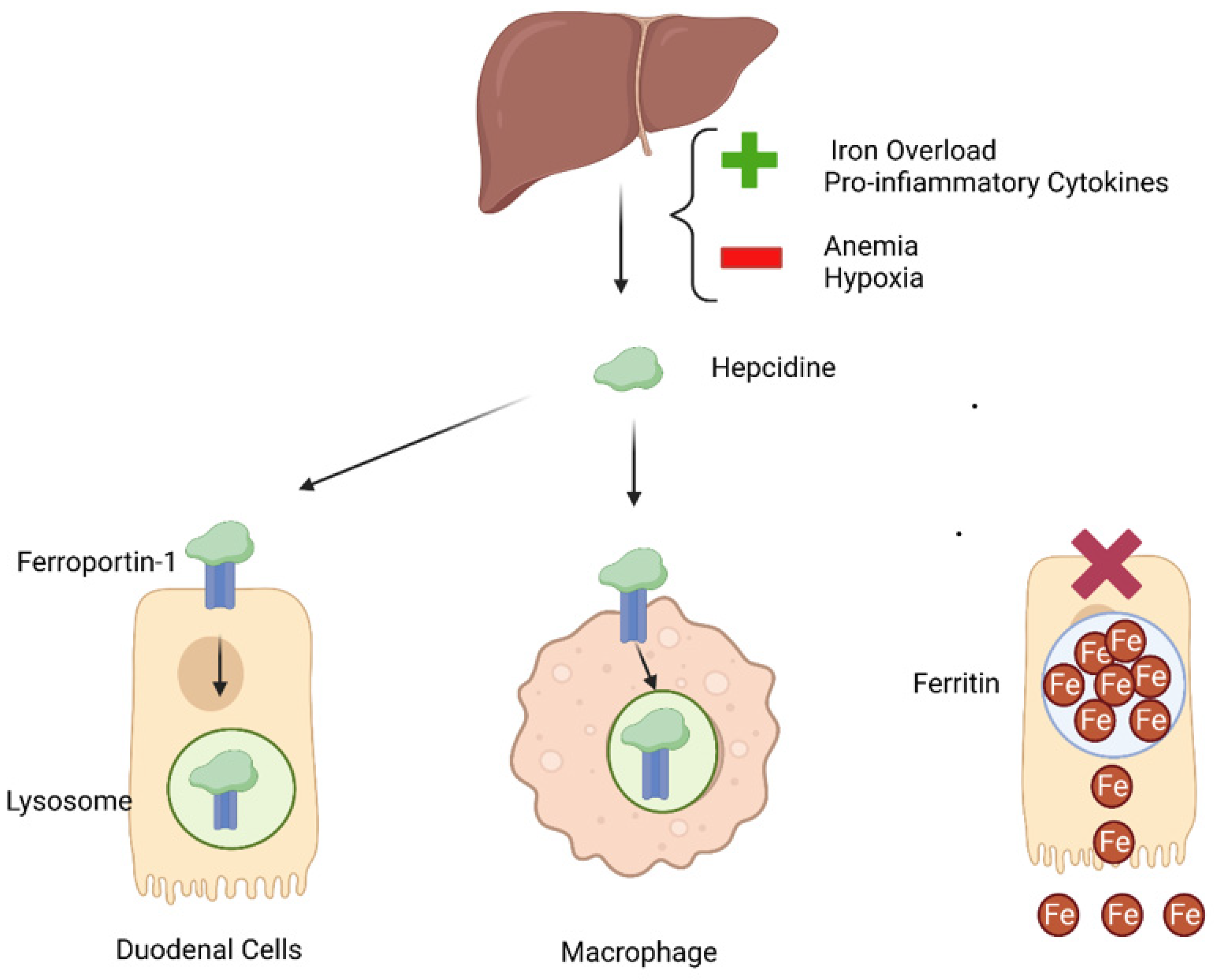 Children 10 00695 g002