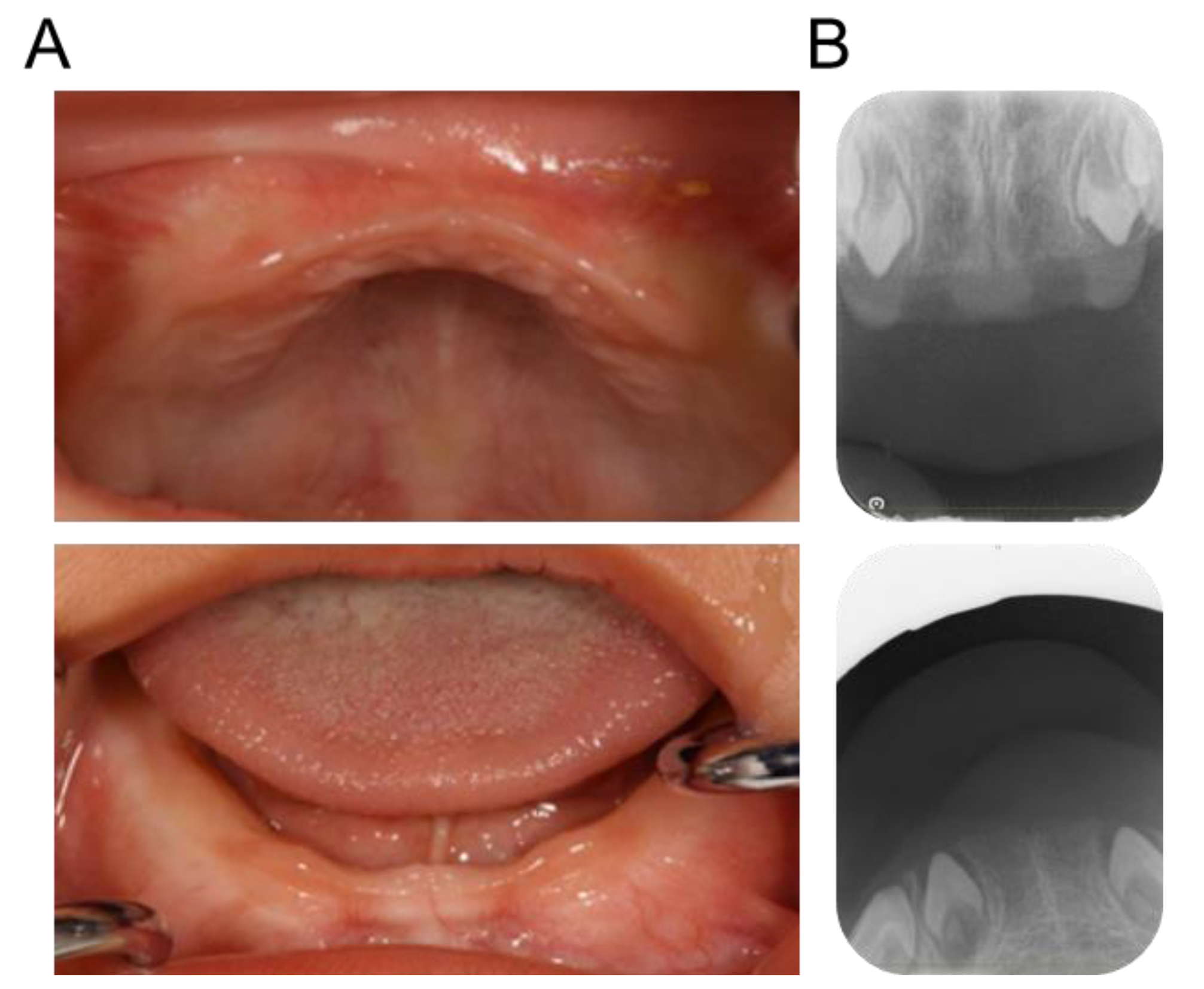 Children 10 00717 g001