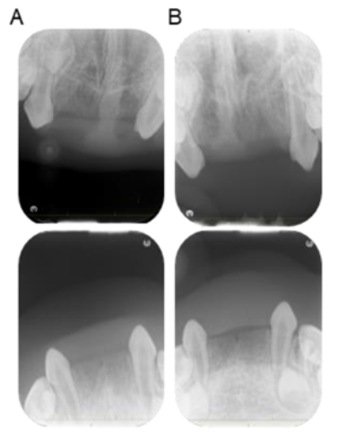 Children 10 00717 g003