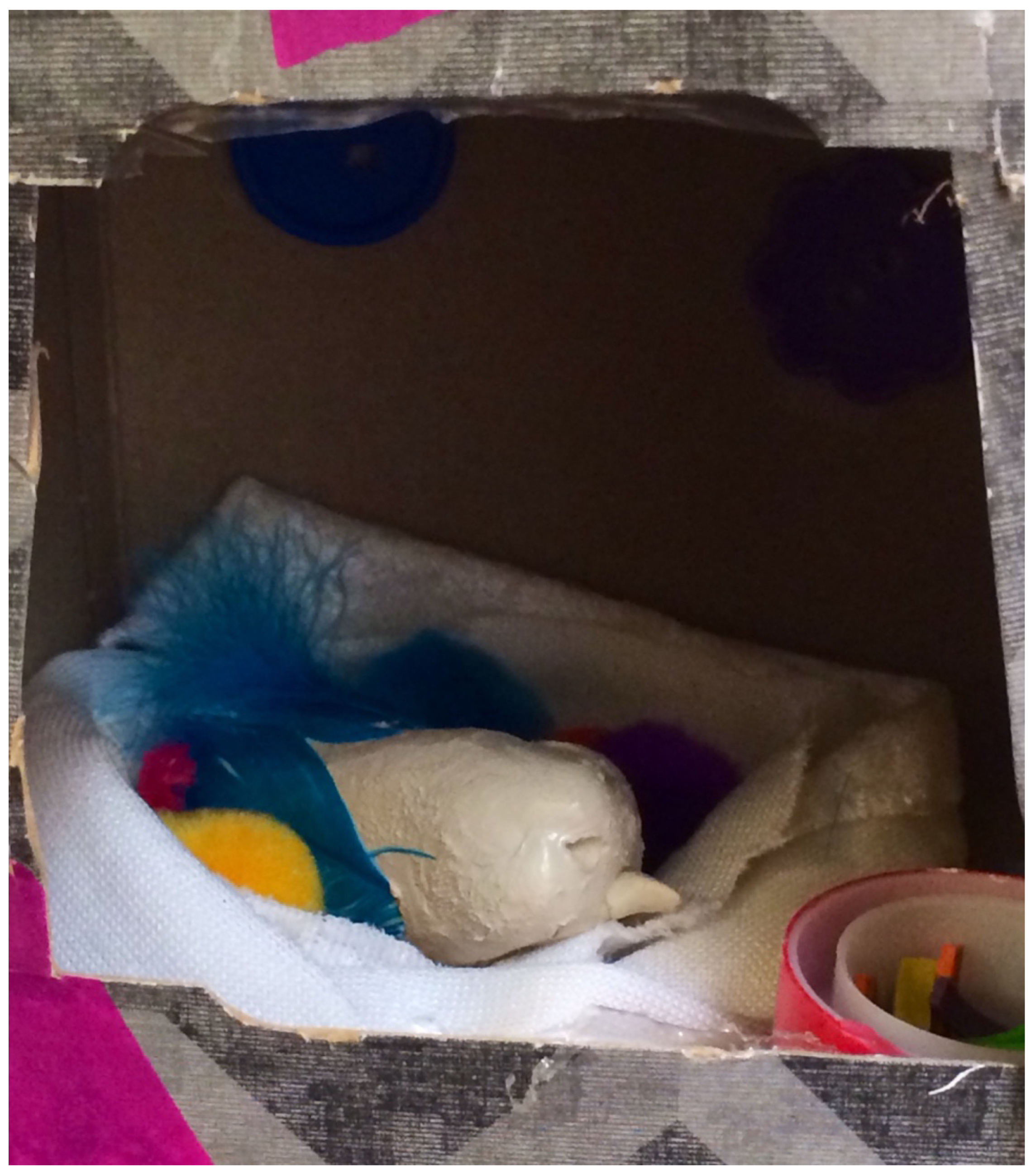 Children 10 00751 g001