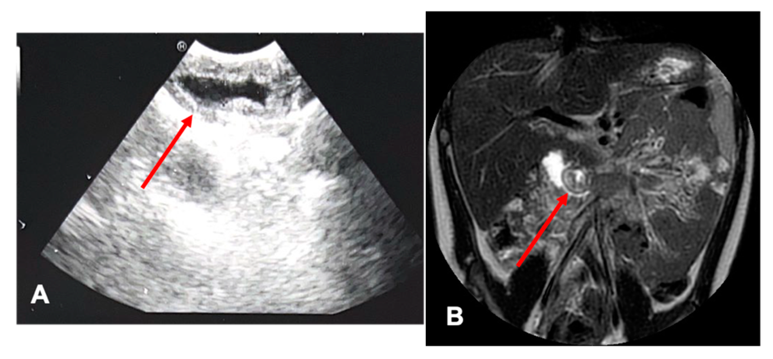 Children 10 00760 g001