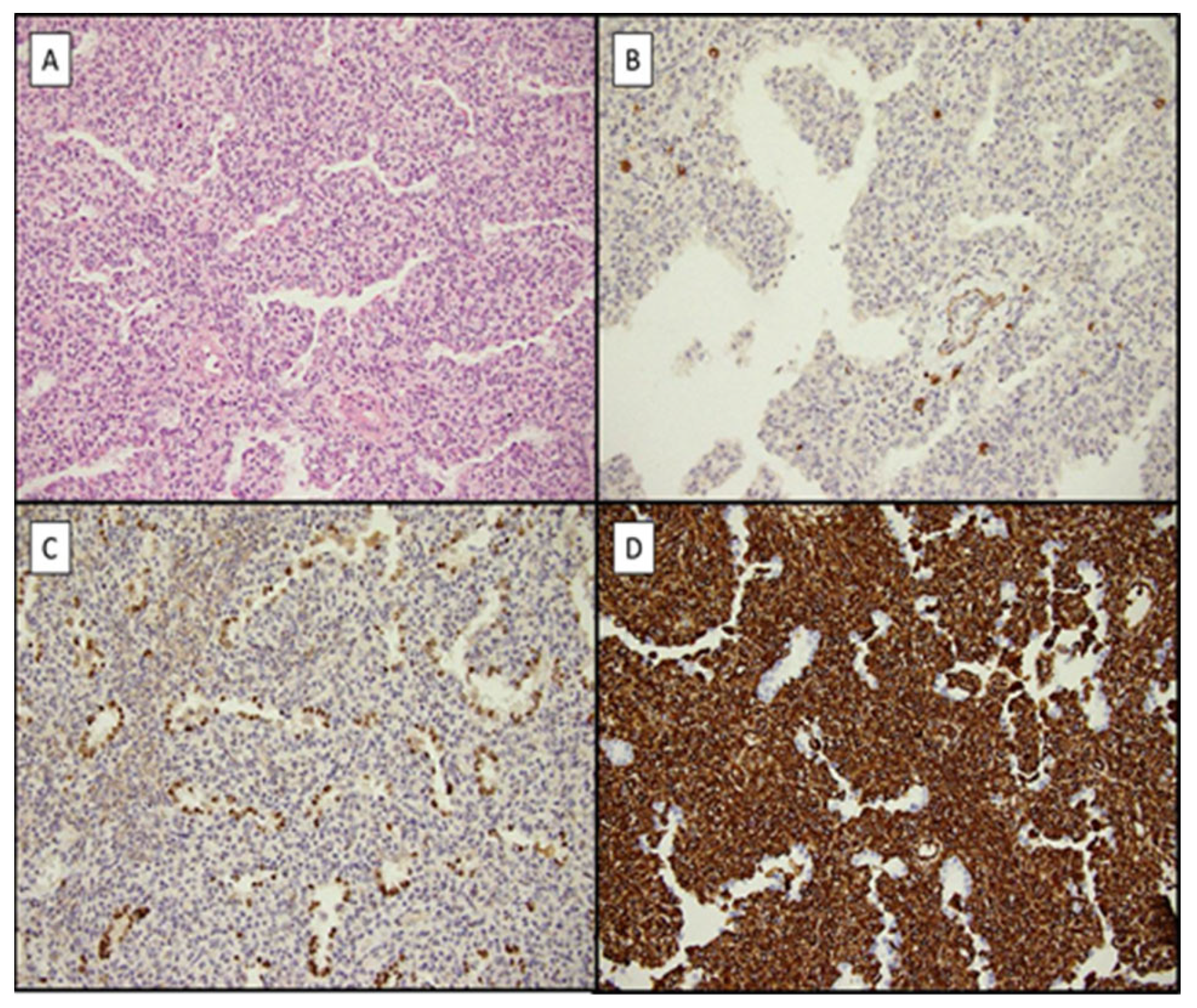 Children 10 00828 g004