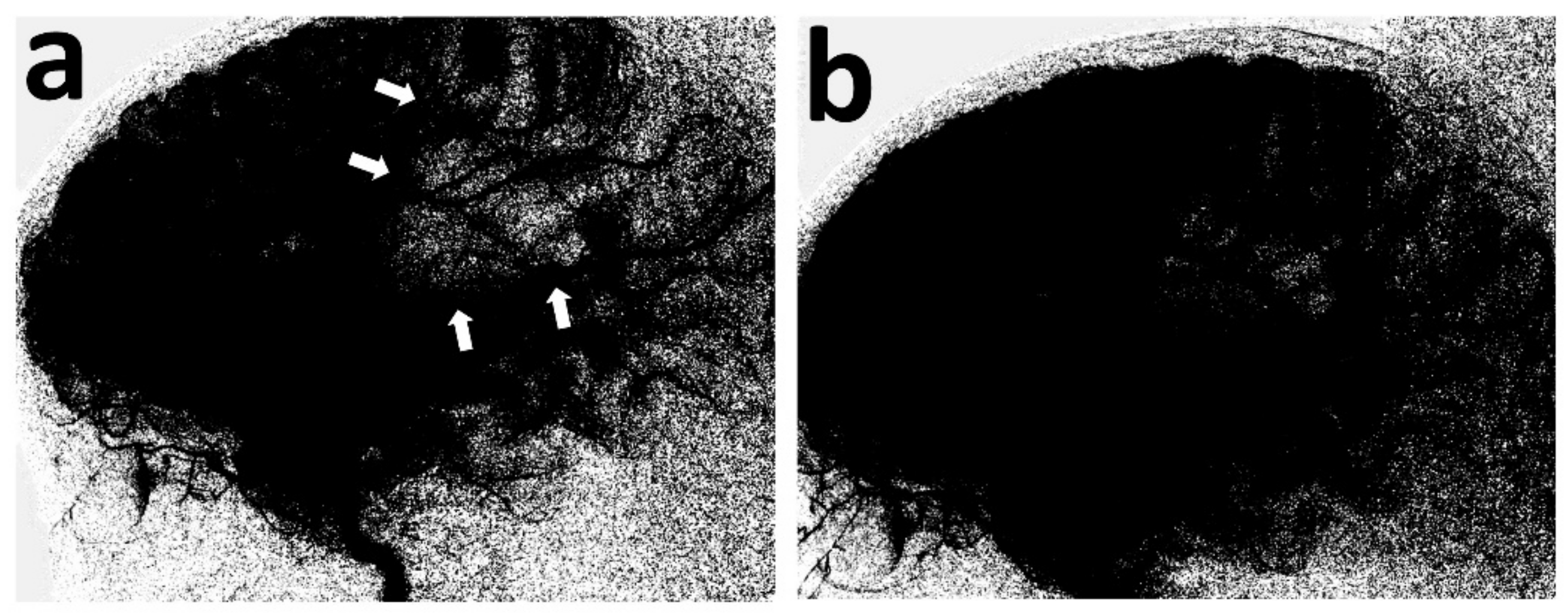 Children 10 00851 g003