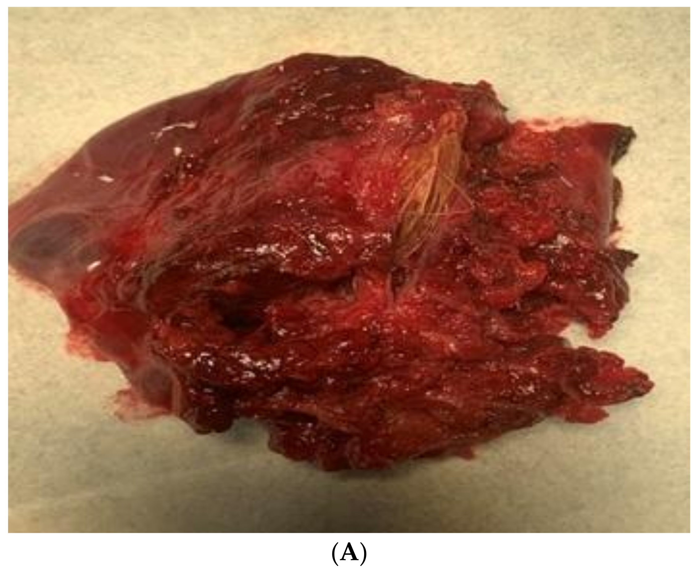 Children 10 00910 g005a