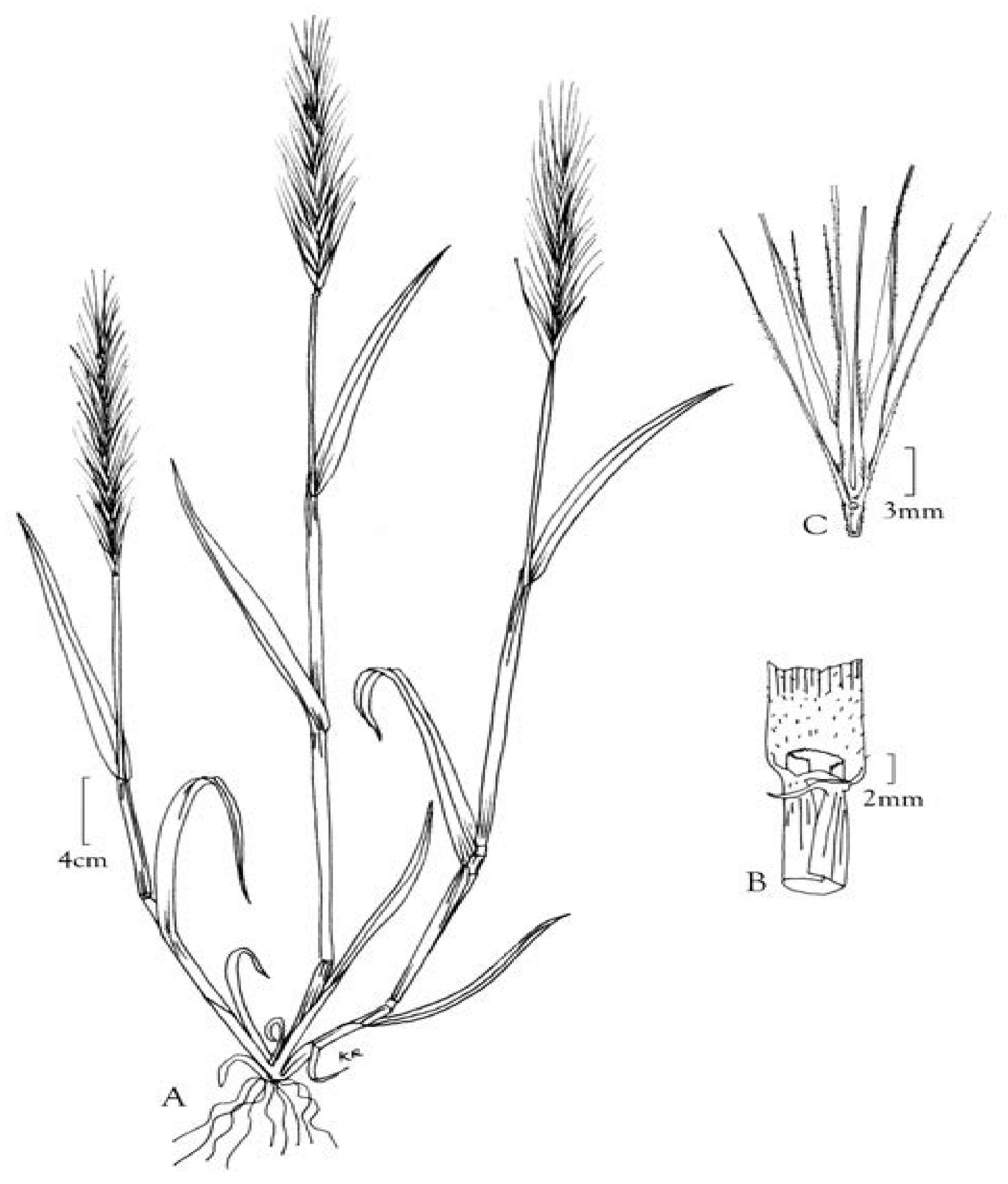 Children 10 00910 g007