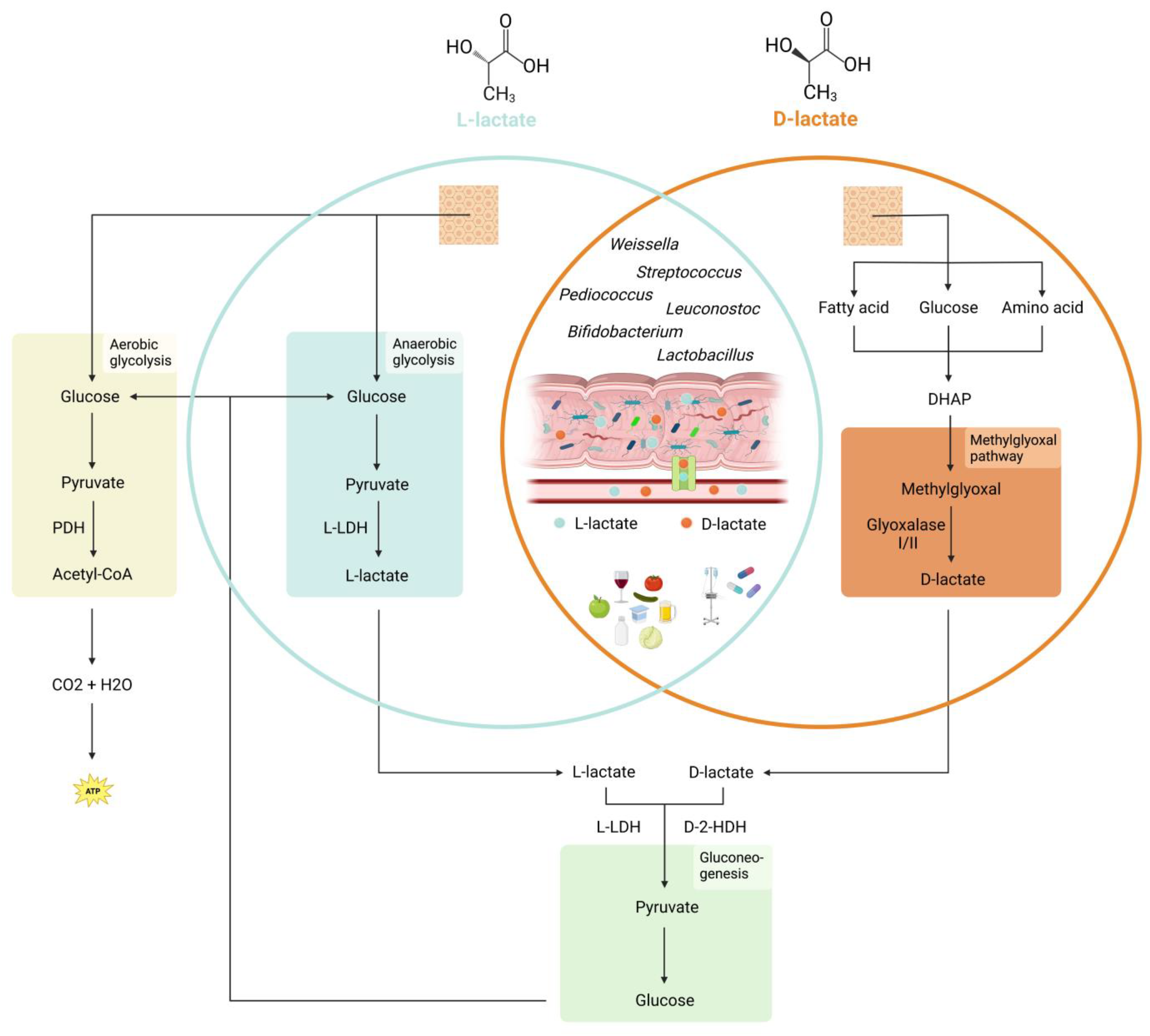 Children 10 00945 g001