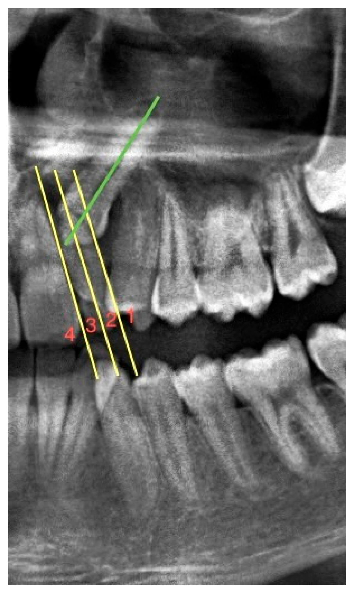 Children 10 00950 g001