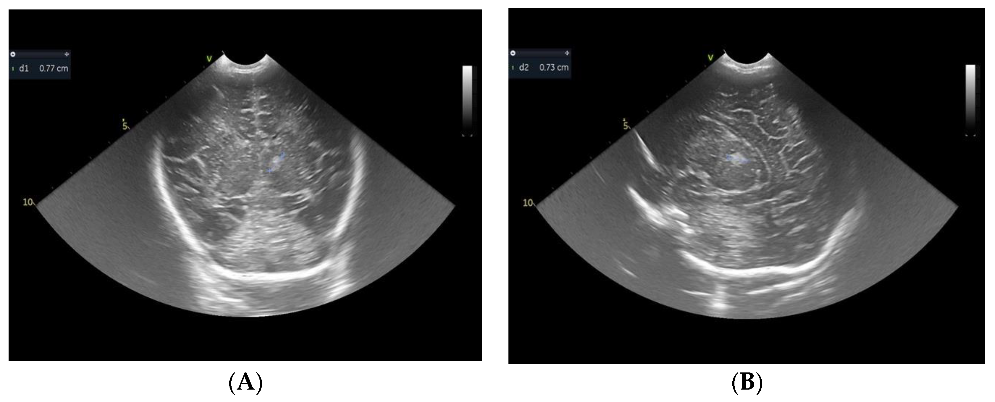 Children 10 00958 g001